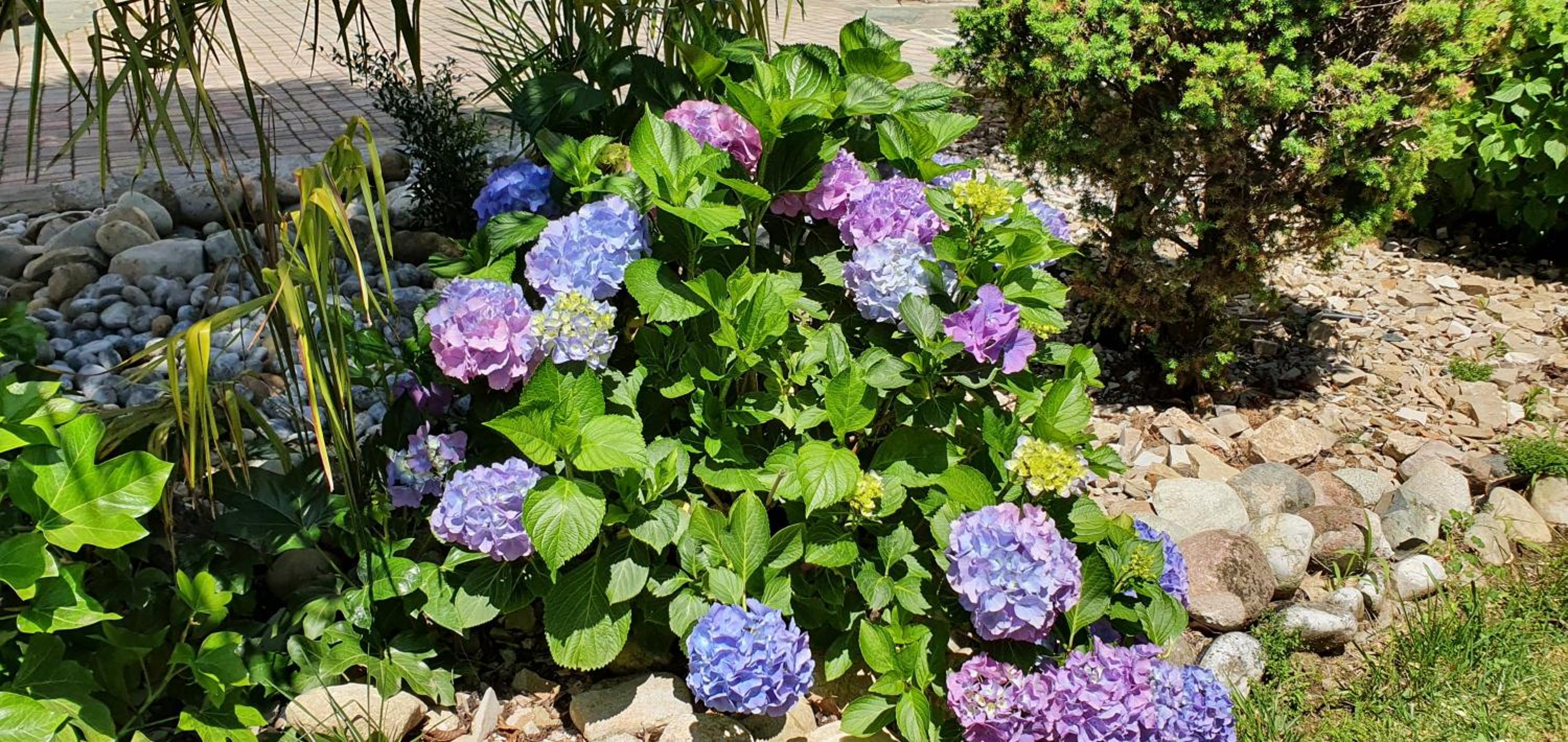 B&B Le Palme