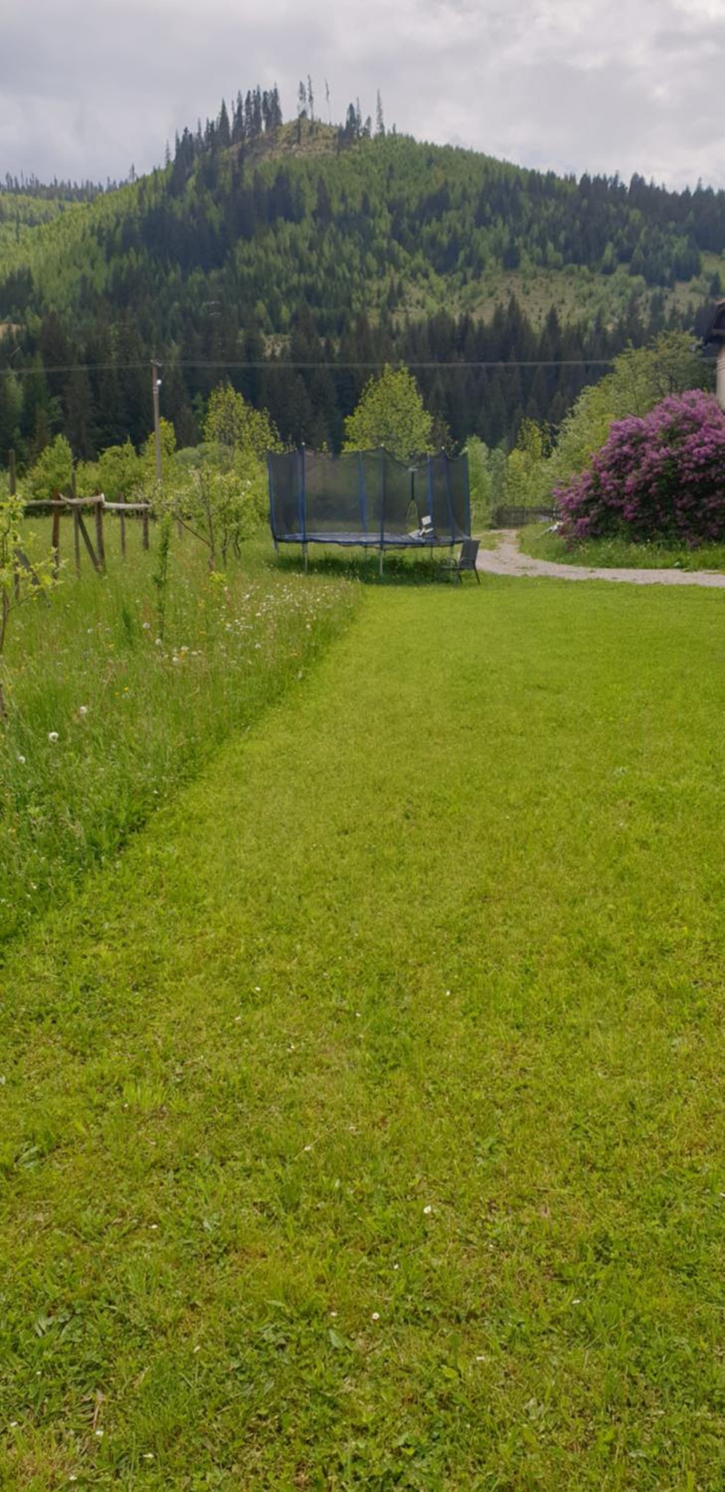 Verde de Bucovina view 3