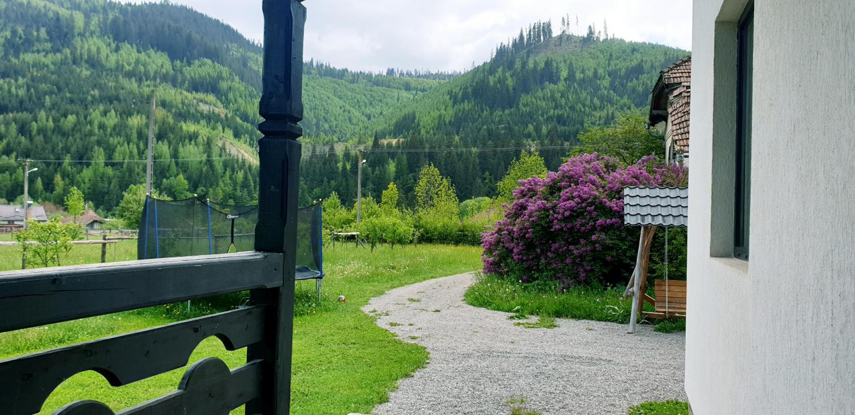 Verde de Bucovina view 4