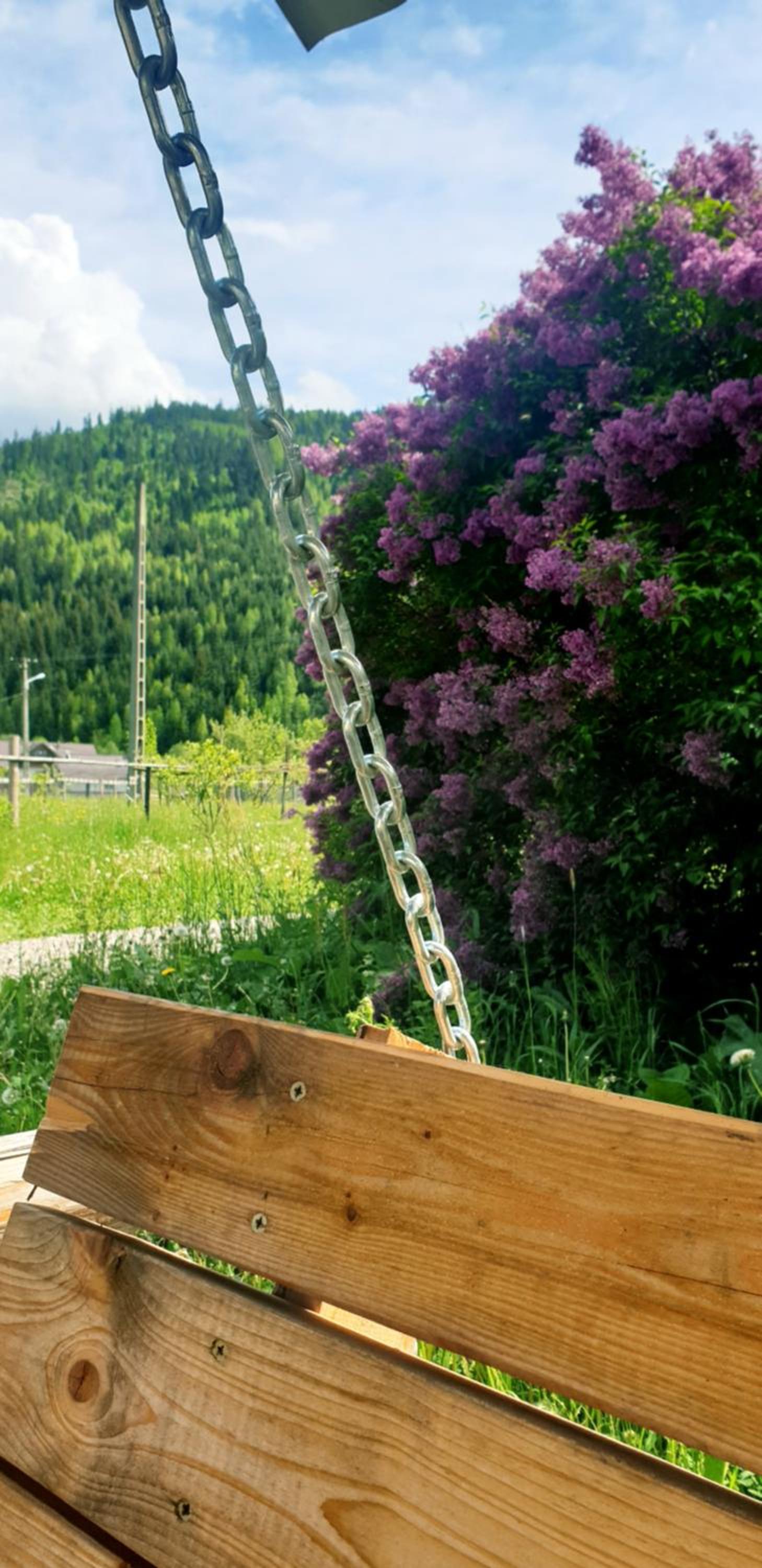 Verde de Bucovina view 5