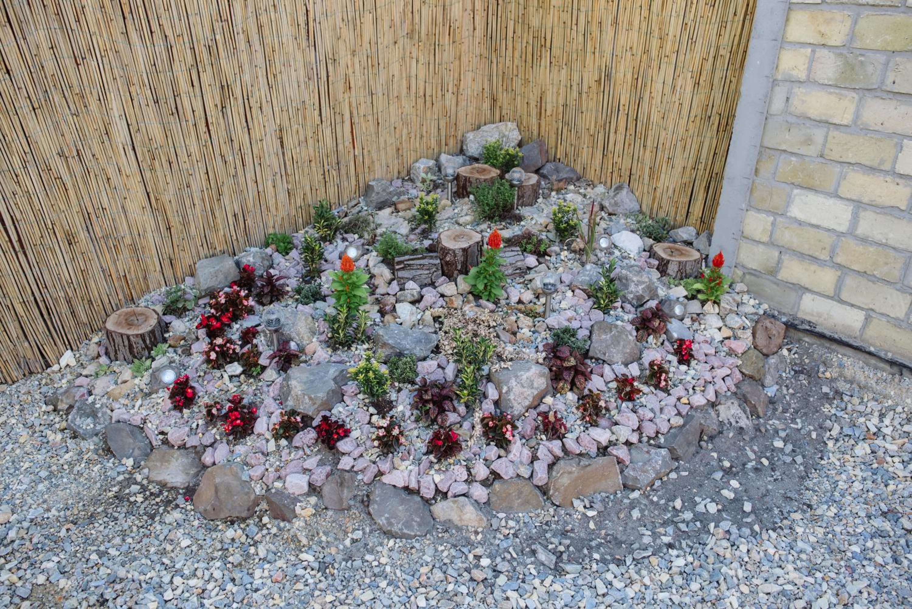 Photo 43