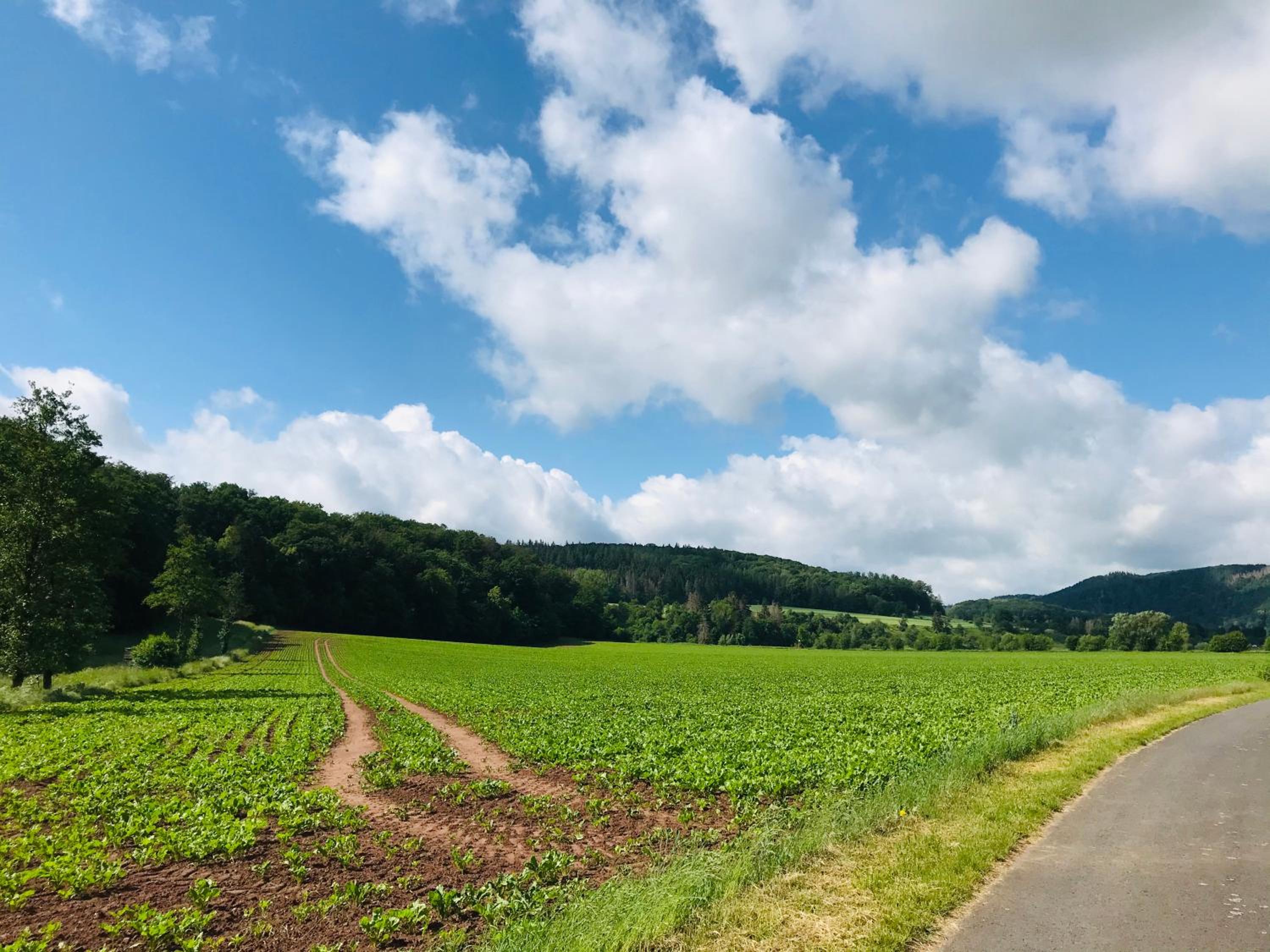 Rittergut Kleinvach