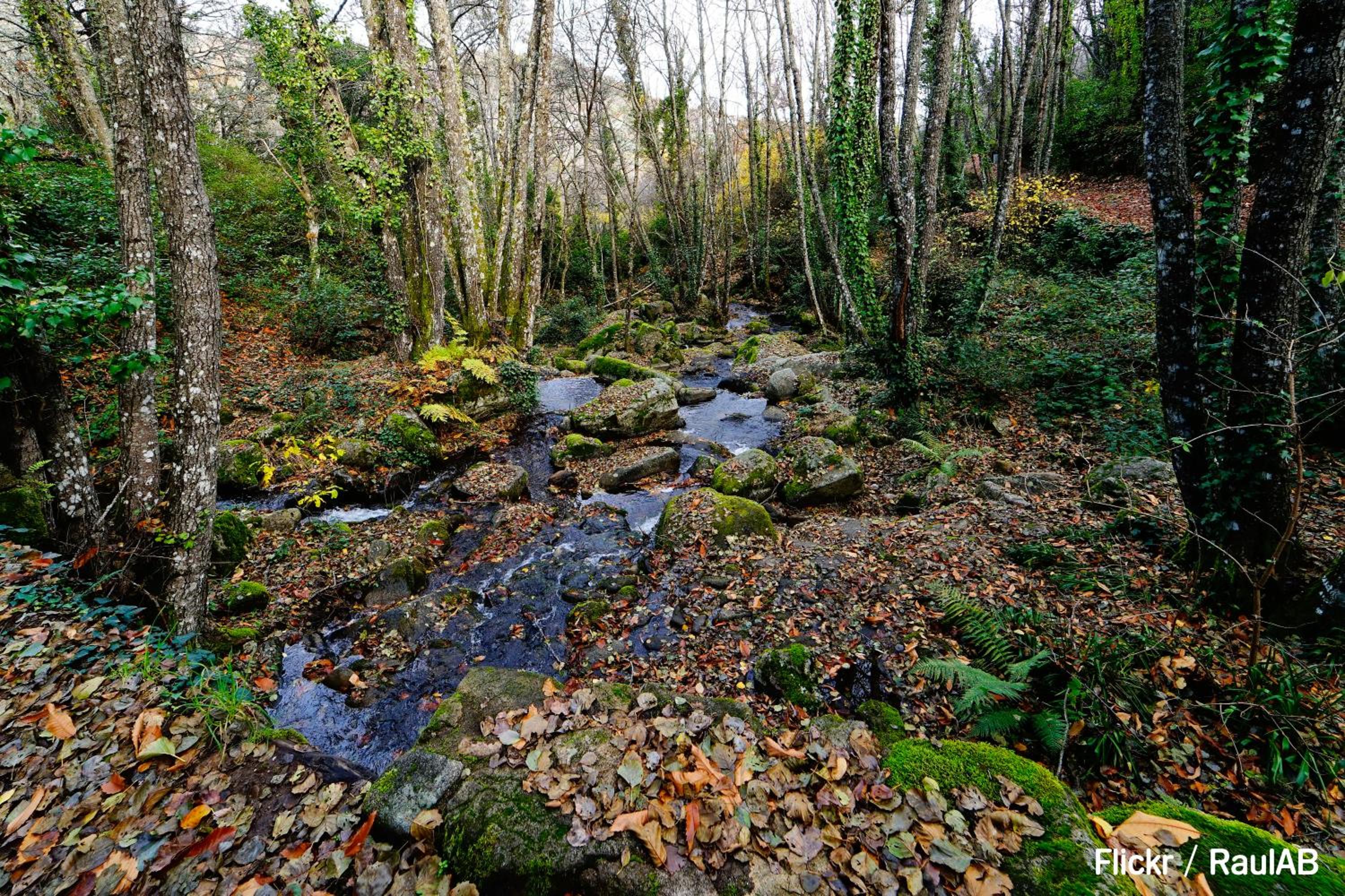 Photo 47