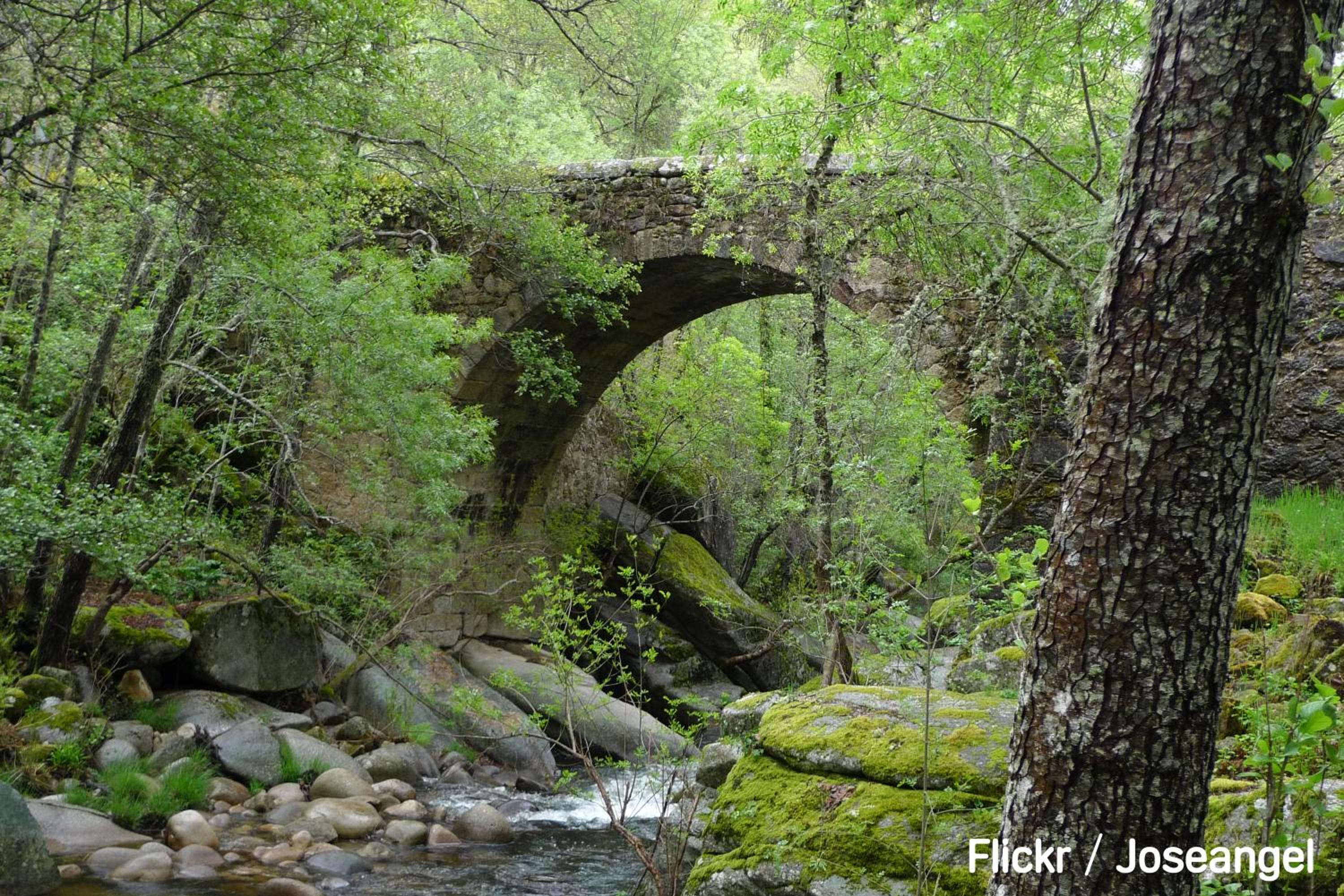 Photo 46