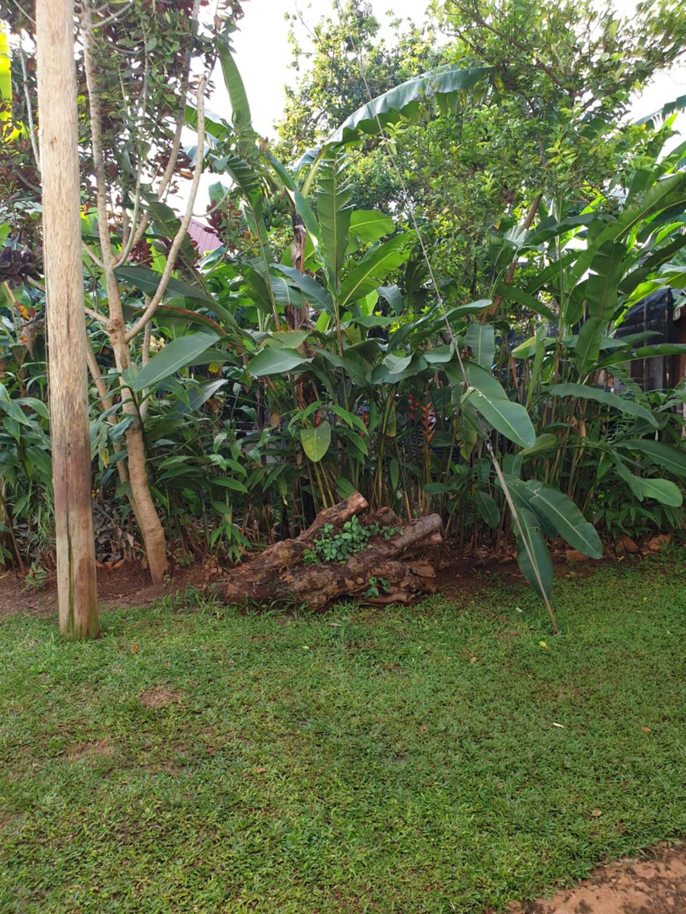 Photo 29