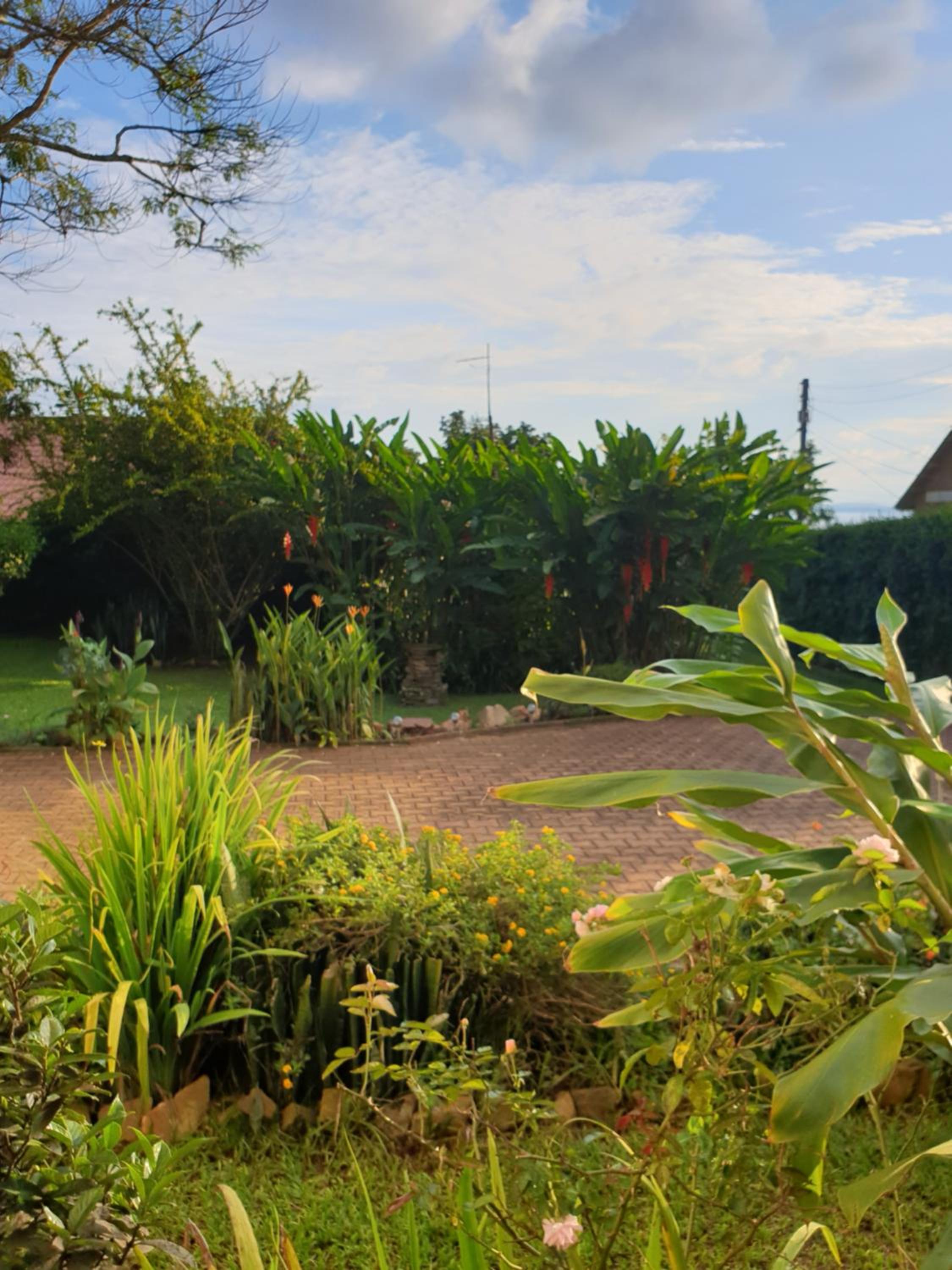 Alison & Dave's Guesthouse view 4