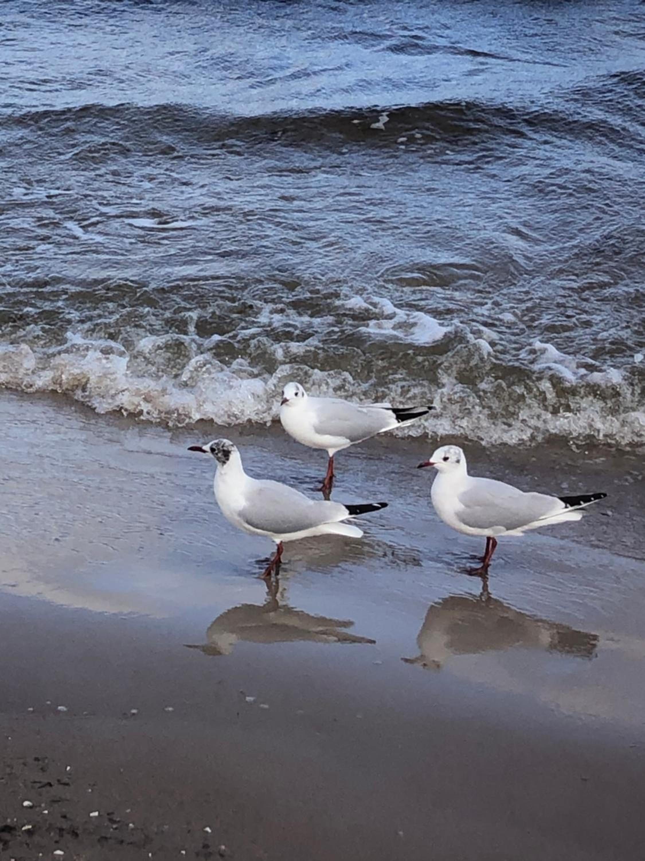 Photo 51