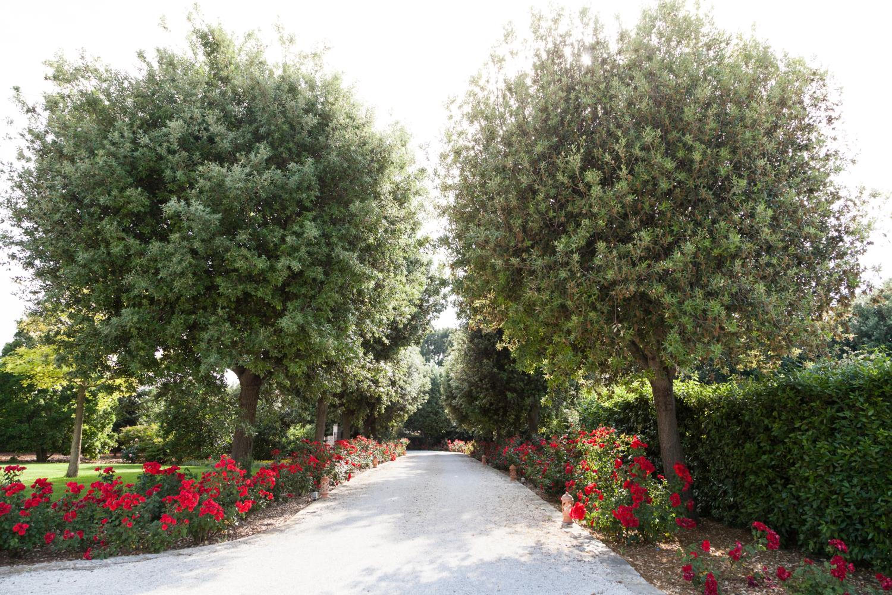 Masseria Lacatena view 4