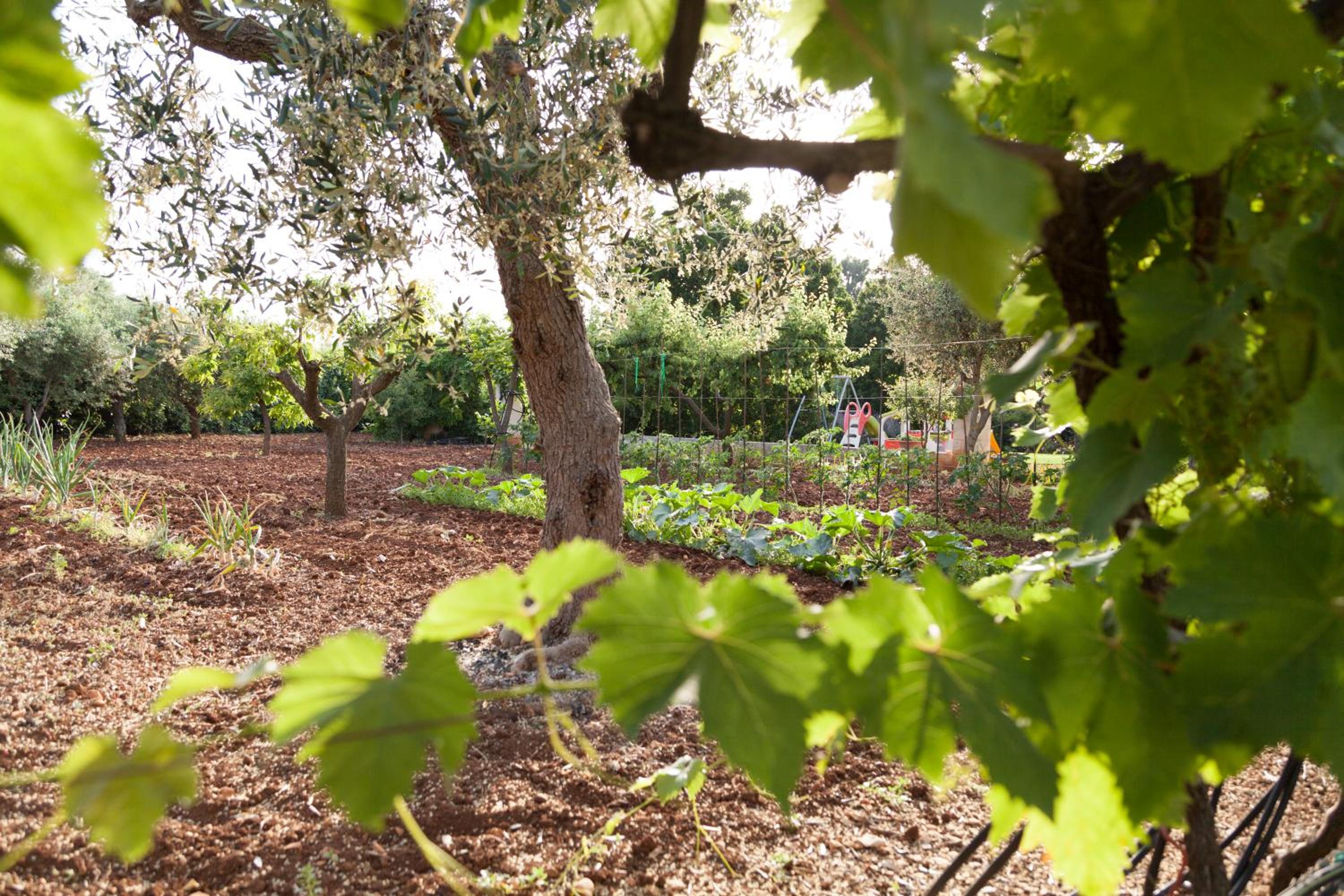 Photo 22