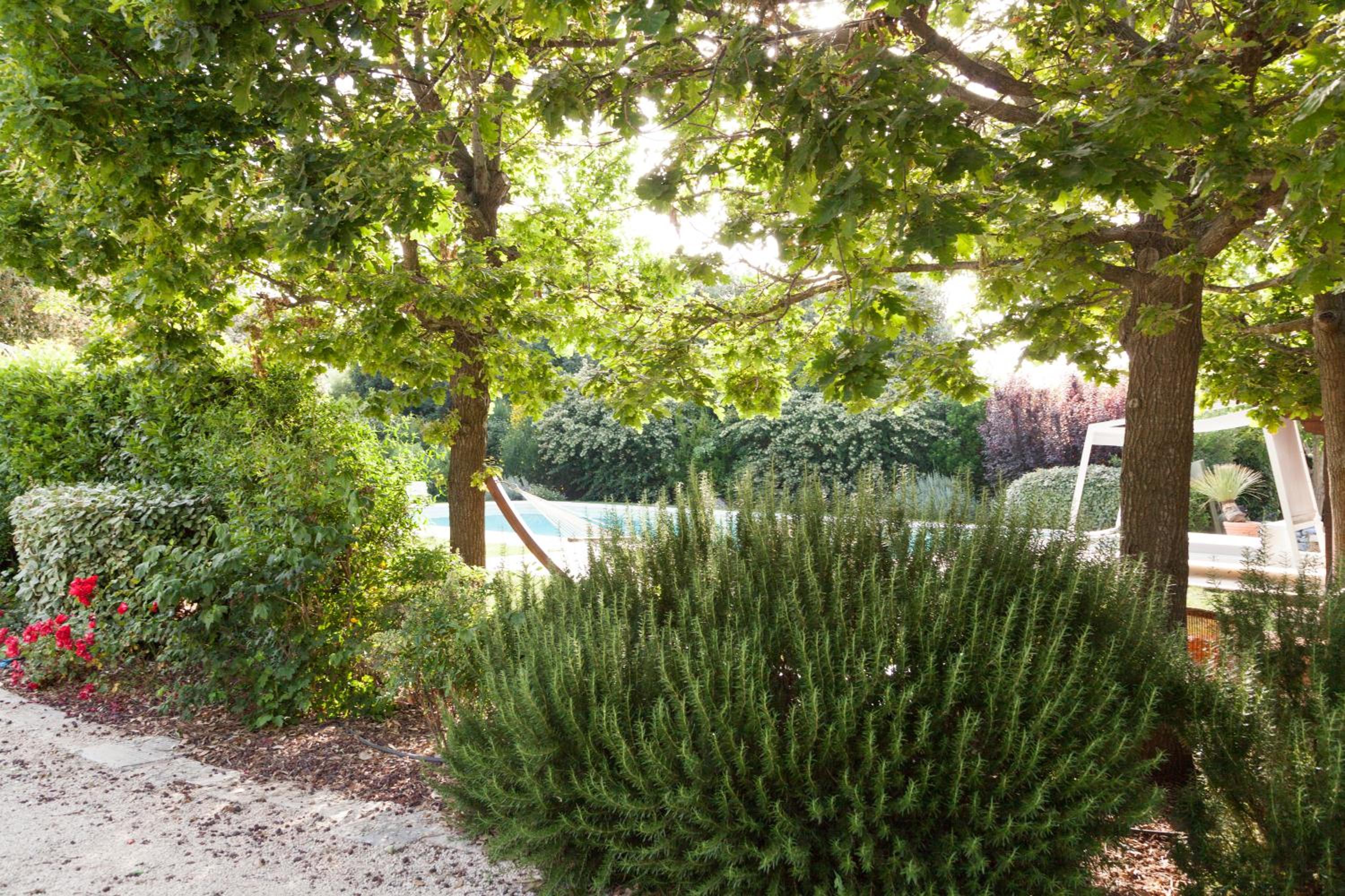 Photo 17