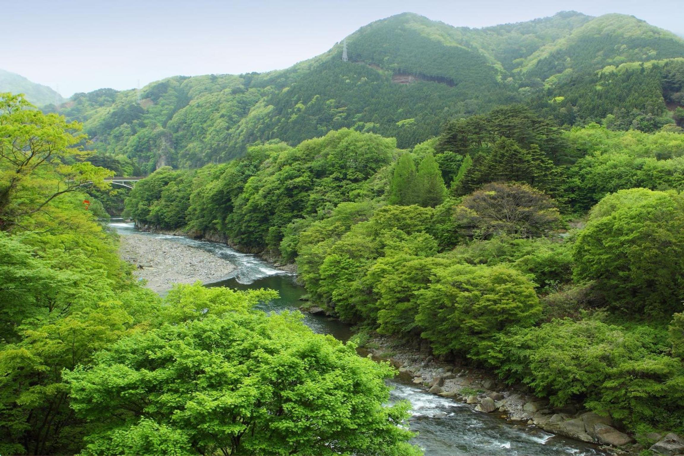 Nanaeyae