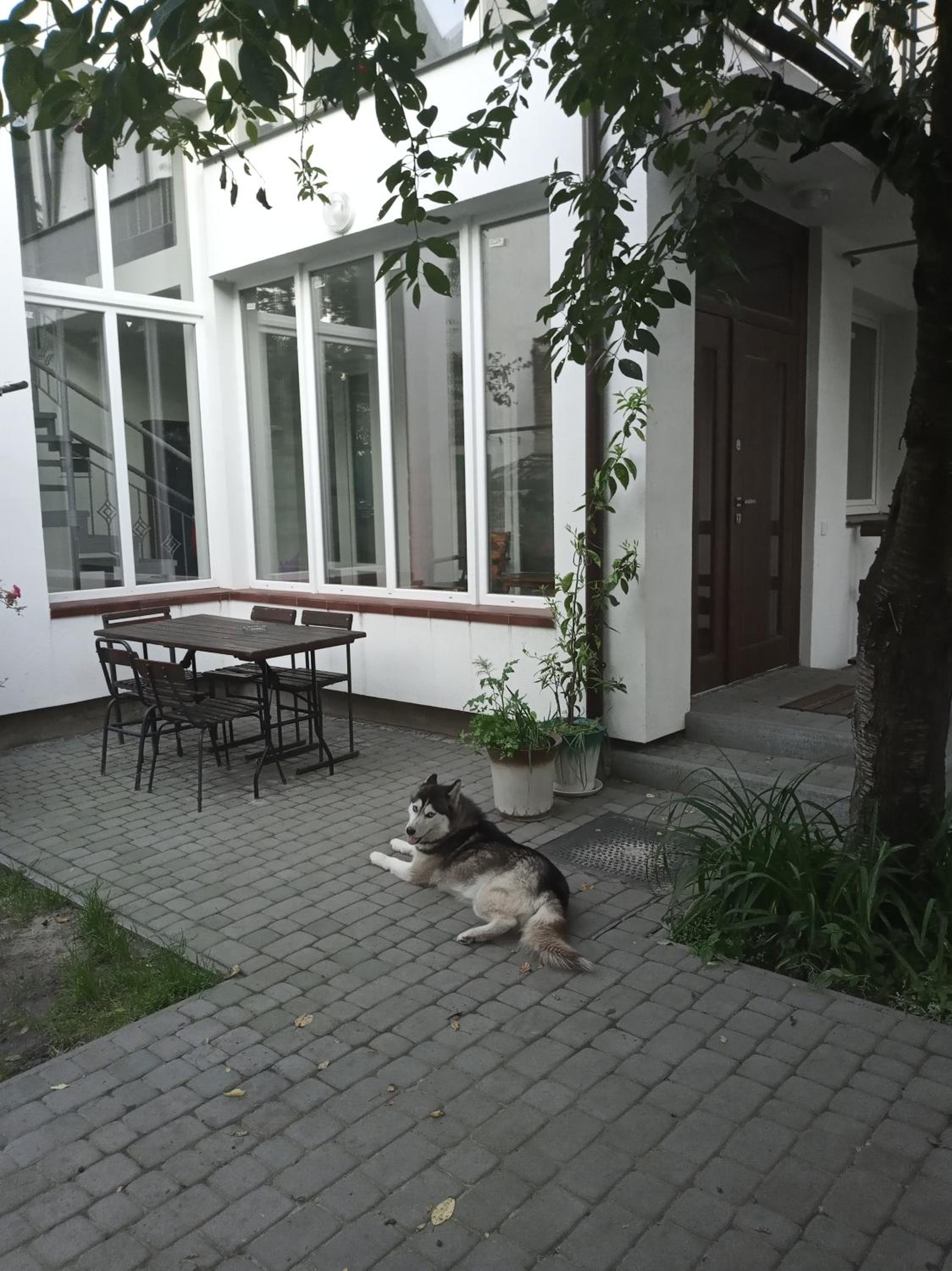 Photo 10