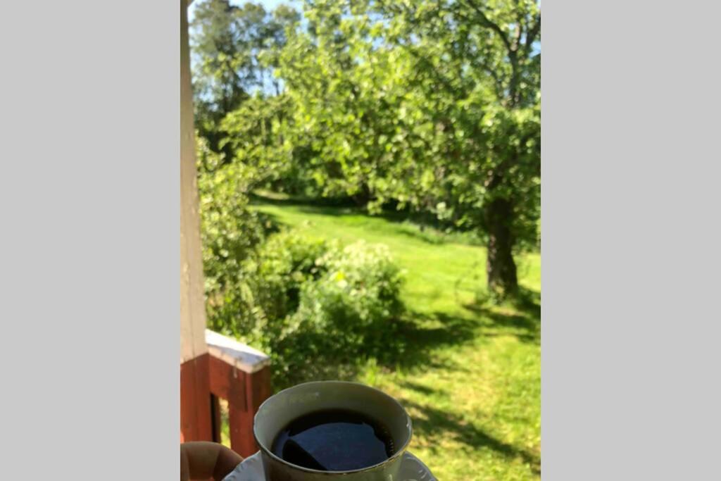 Genuine 100 year old countryside cottage view 3