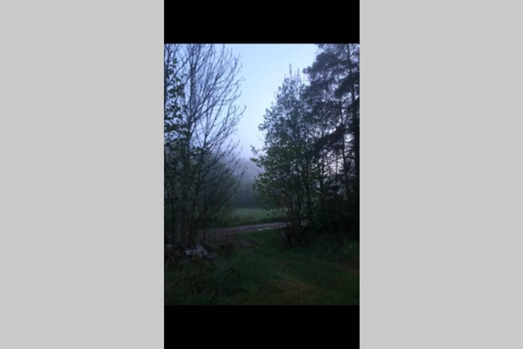 Photo 34