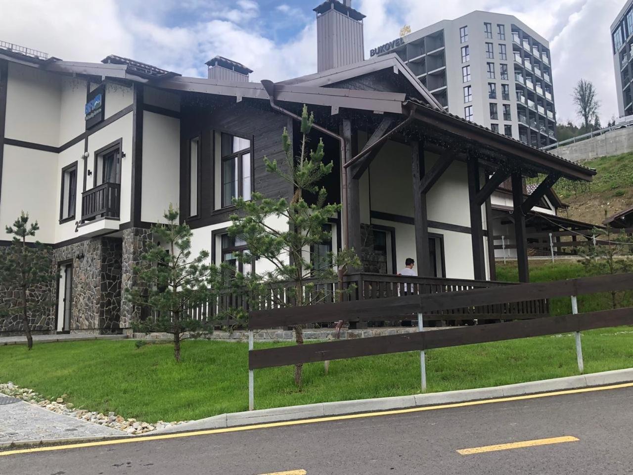 Chalet BFamilyHouse Bukovel view 2