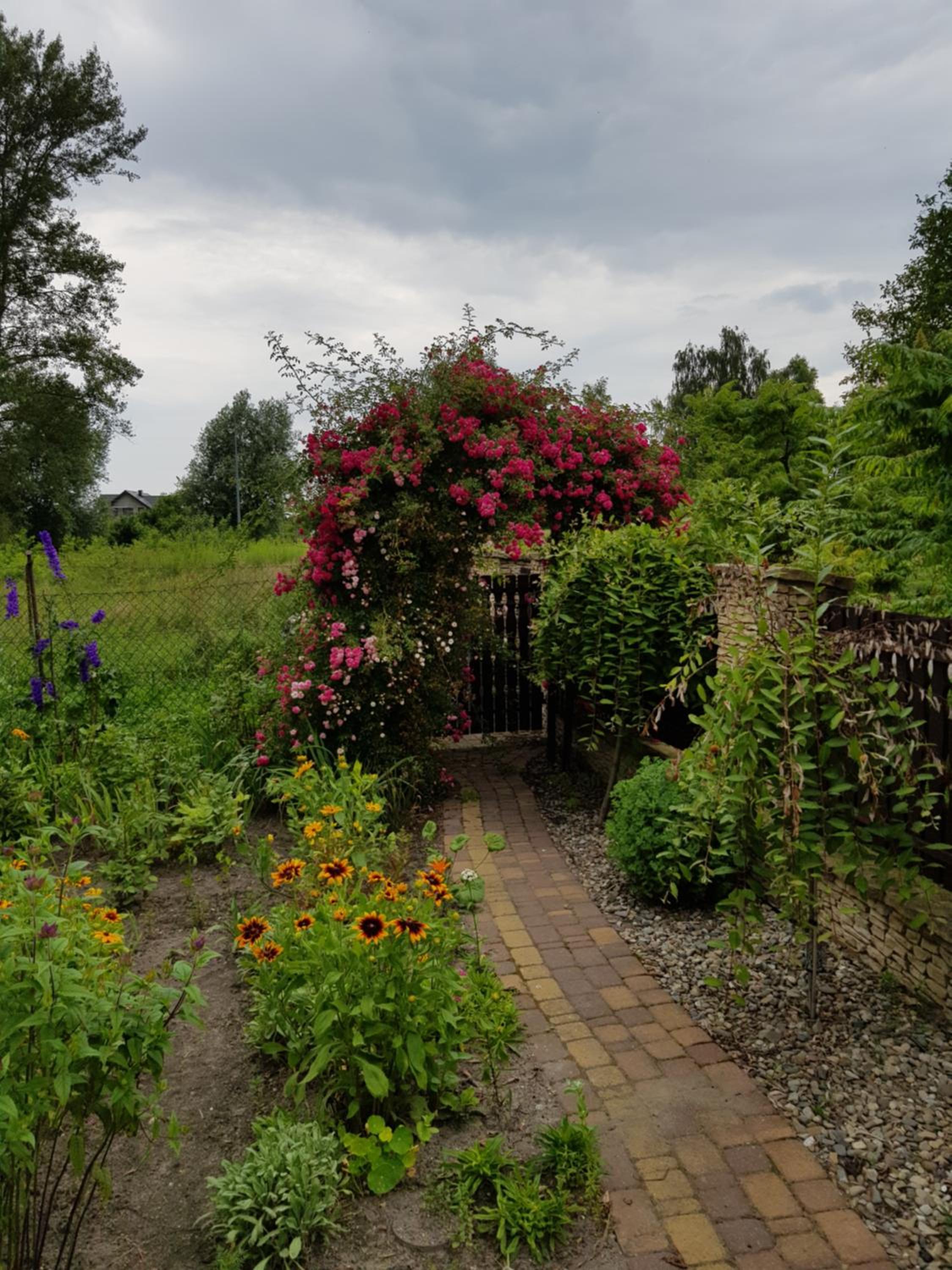 Photo 21