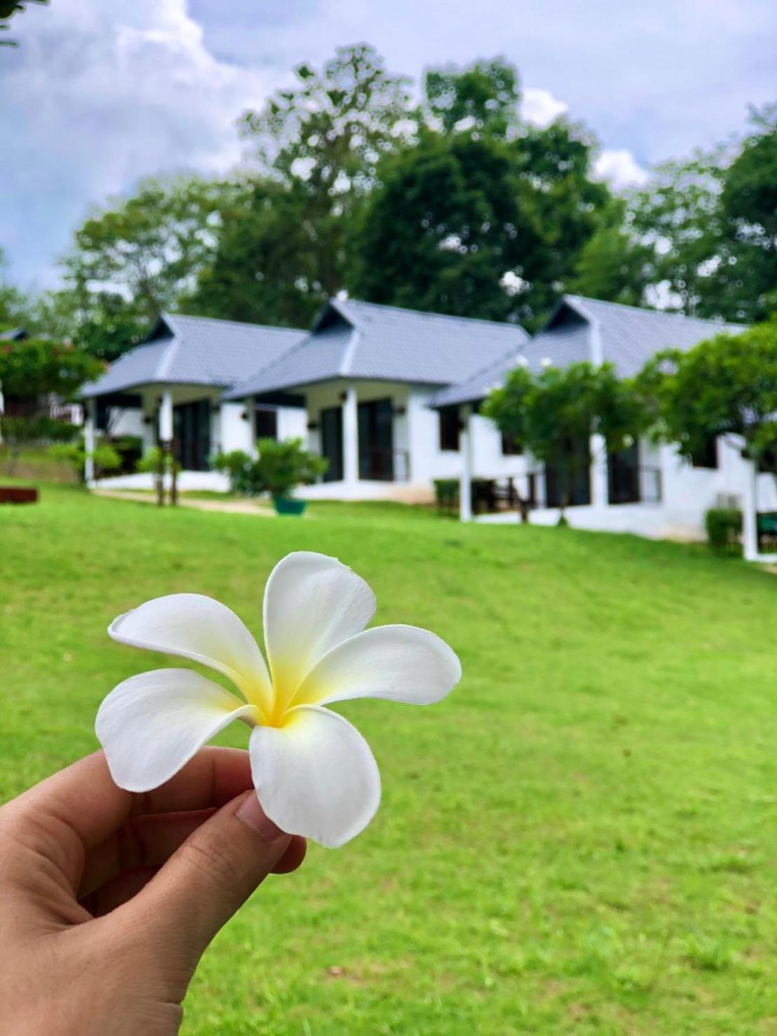 Diamond Village Pai