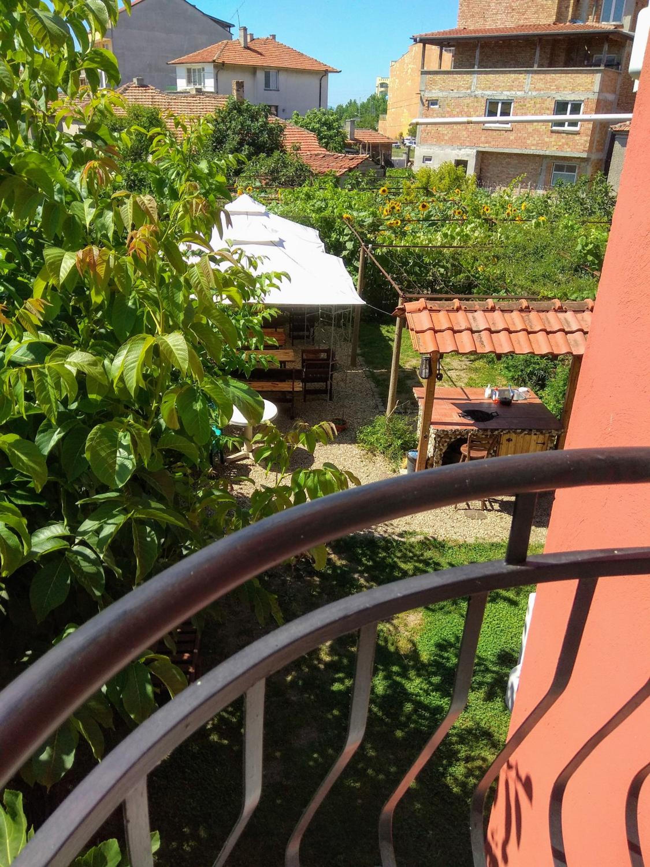 Guest House Sunflowers