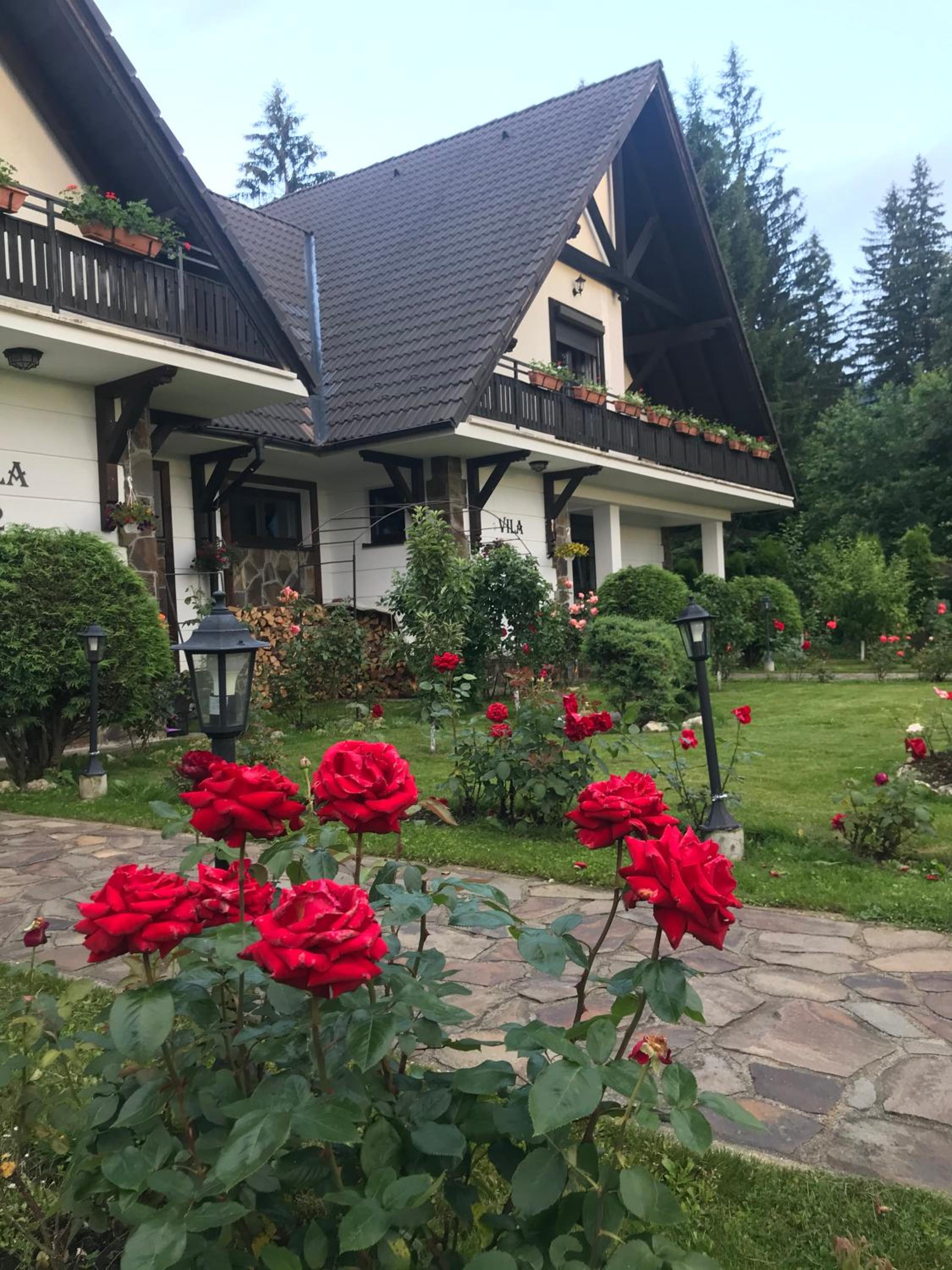 Complex Vile- Milana M Residence view 3