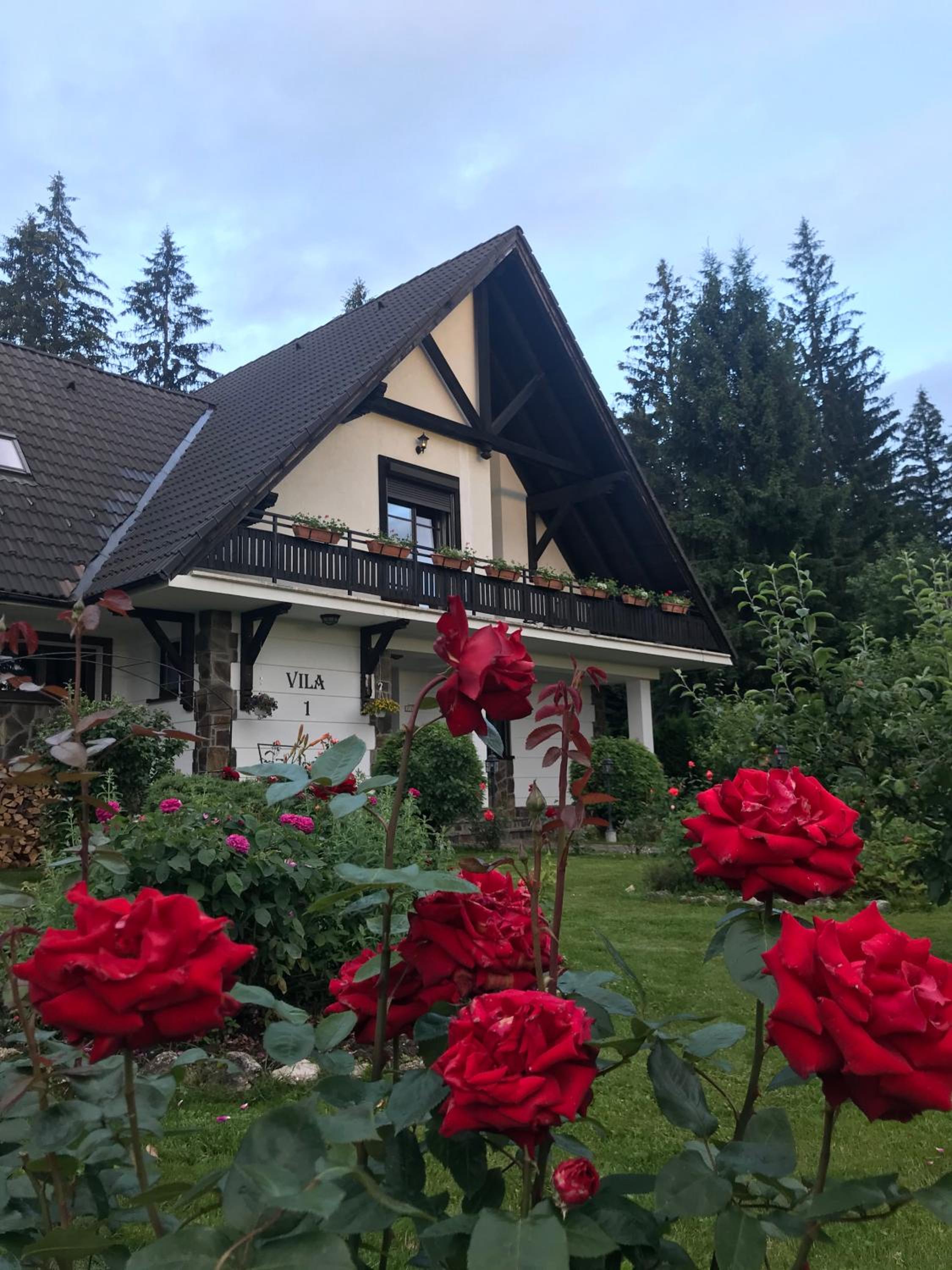 Complex Vile- Milana M Residence view 2