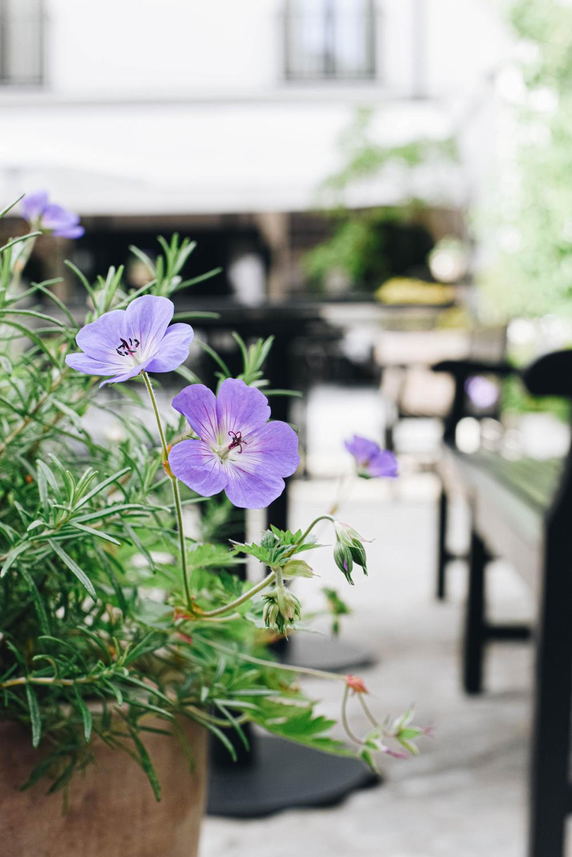 Hotel FRANQ - Image 1