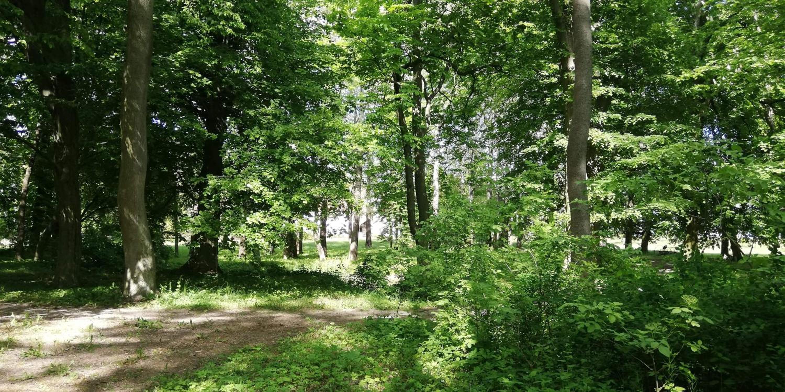 children's play area