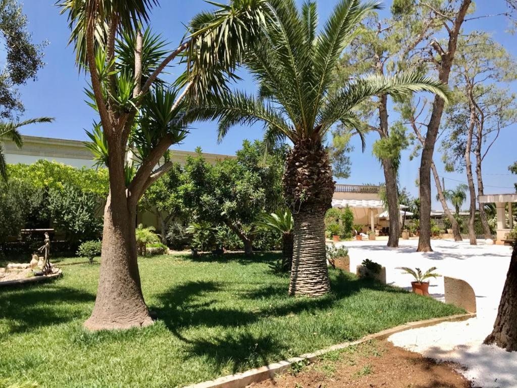B&B TENUTA AGNUSDEI view 2
