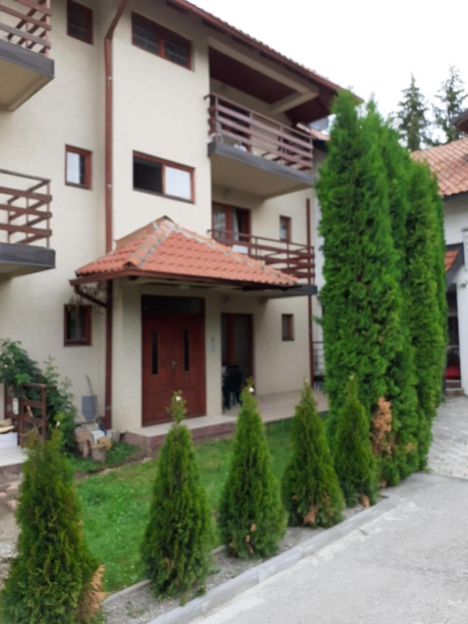 DuNe Apartment Zlatibor view 5