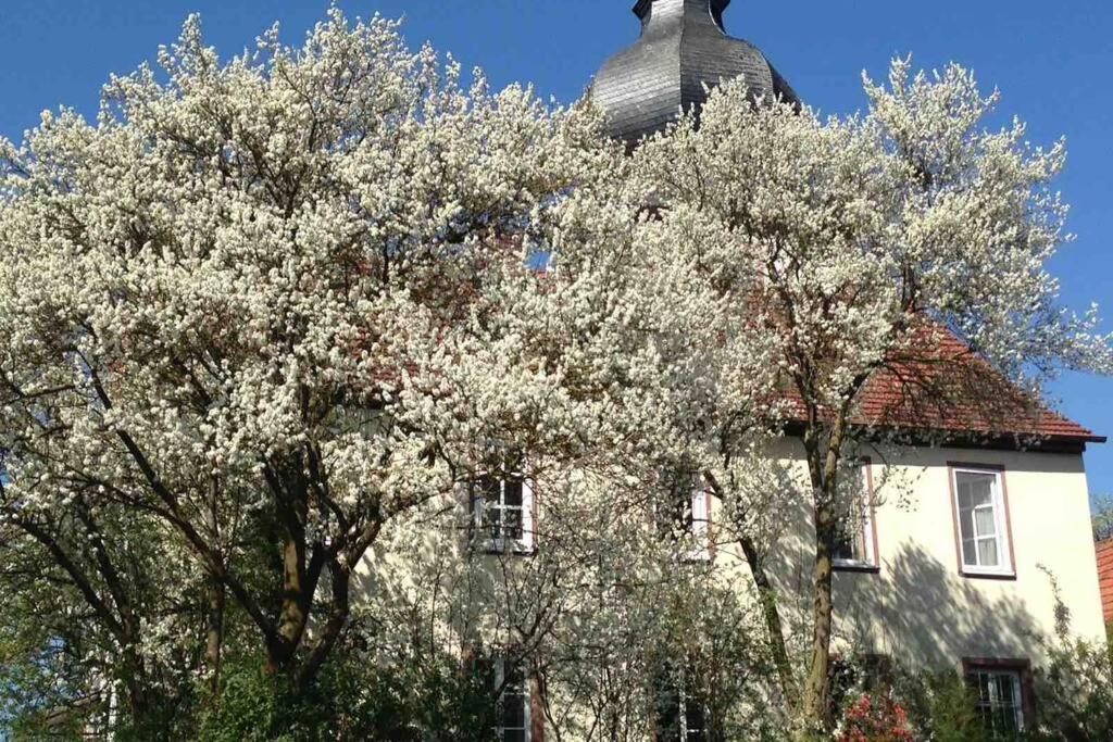 Liebevolles, altes Schulhaus im Vintage Stil - Property Image 10