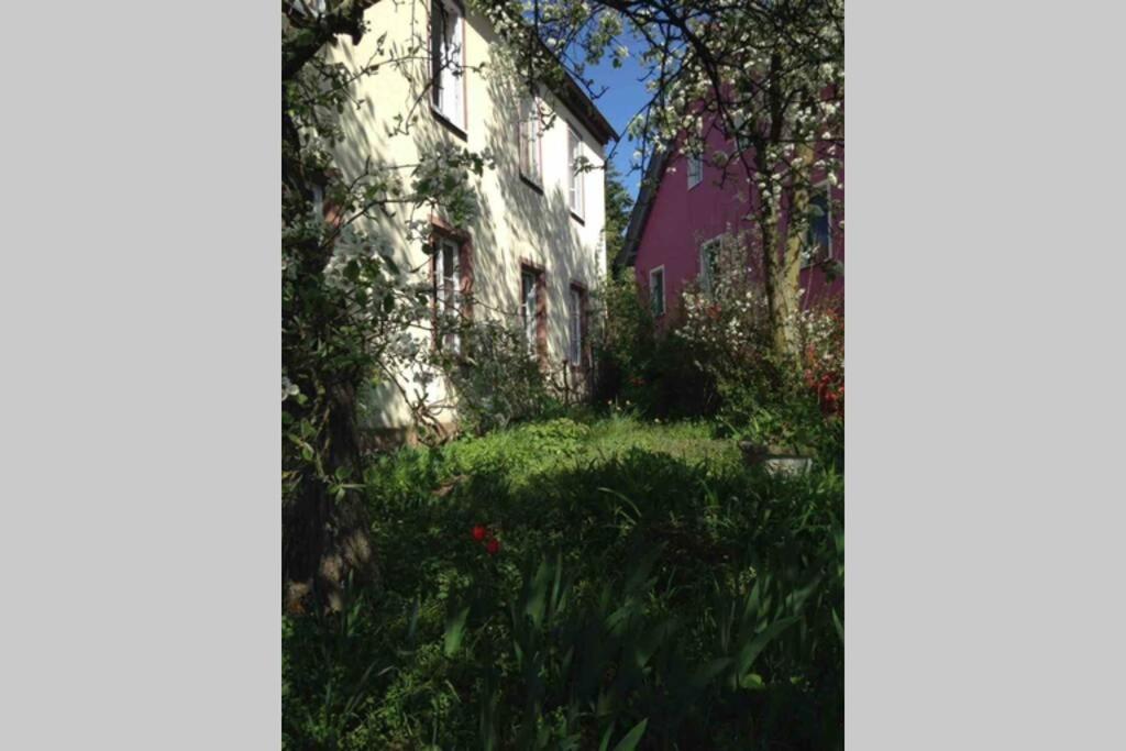 Liebevolles, altes Schulhaus im Vintage Stil - Property Image 28