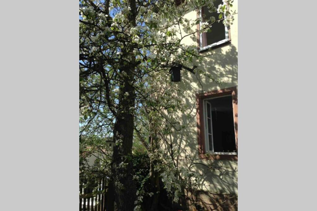 Liebevolles, altes Schulhaus im Vintage Stil - Property Image 33
