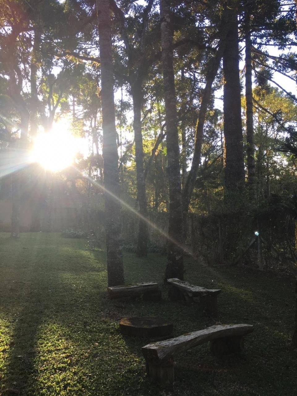Bosque das Araucárias