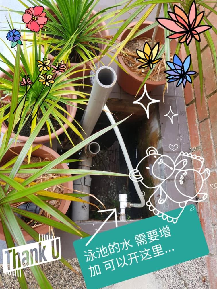 Photo 30