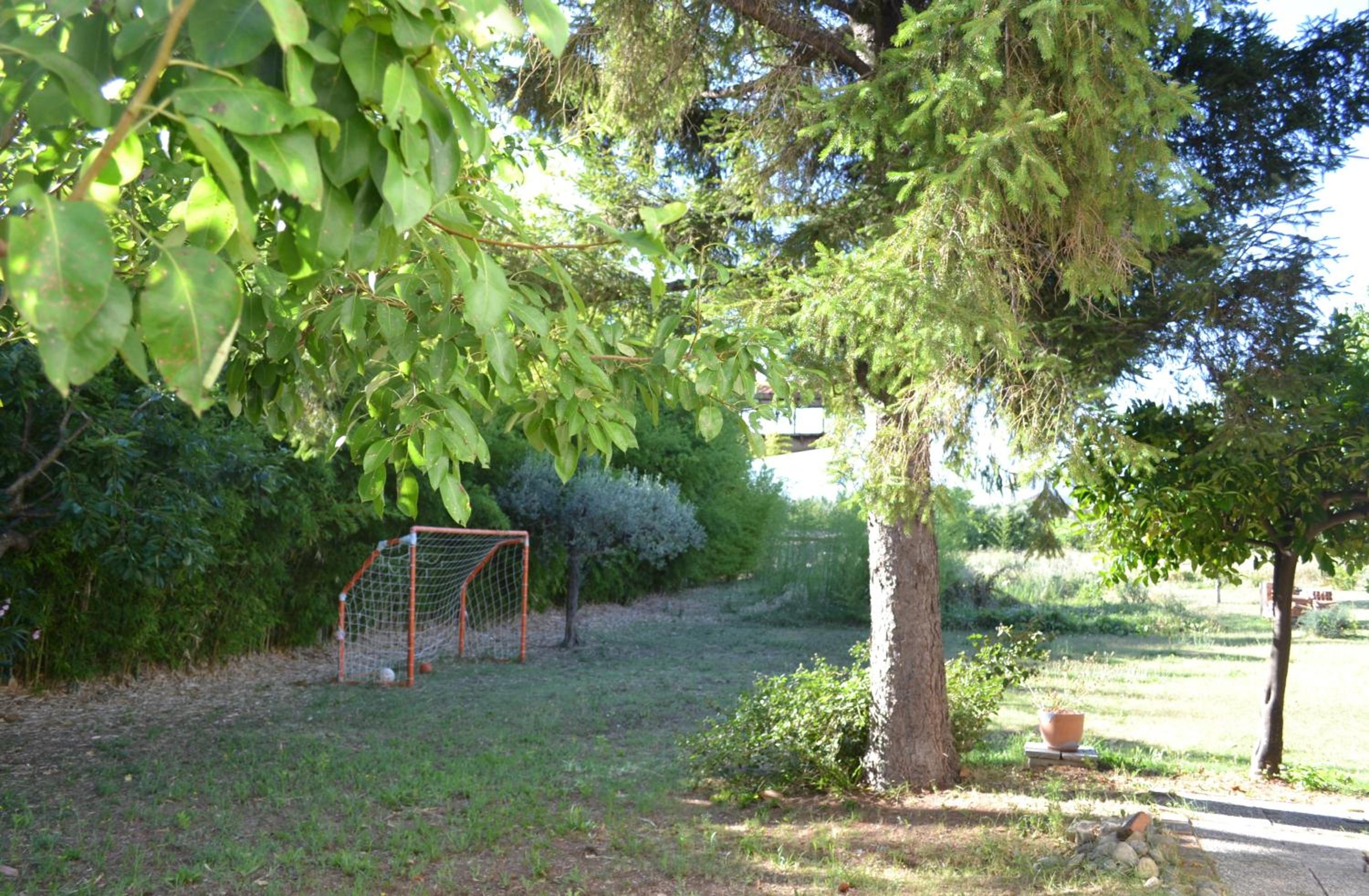 Photo 38