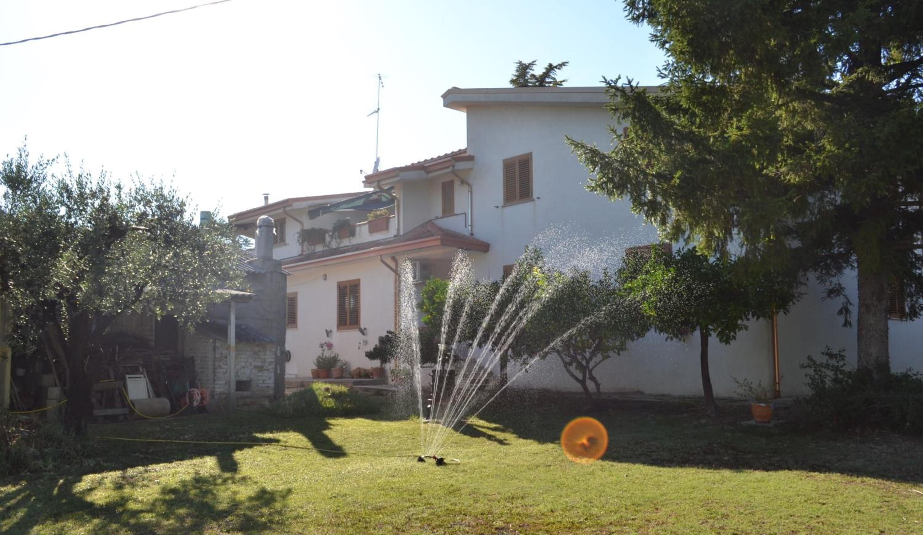 Photo 40
