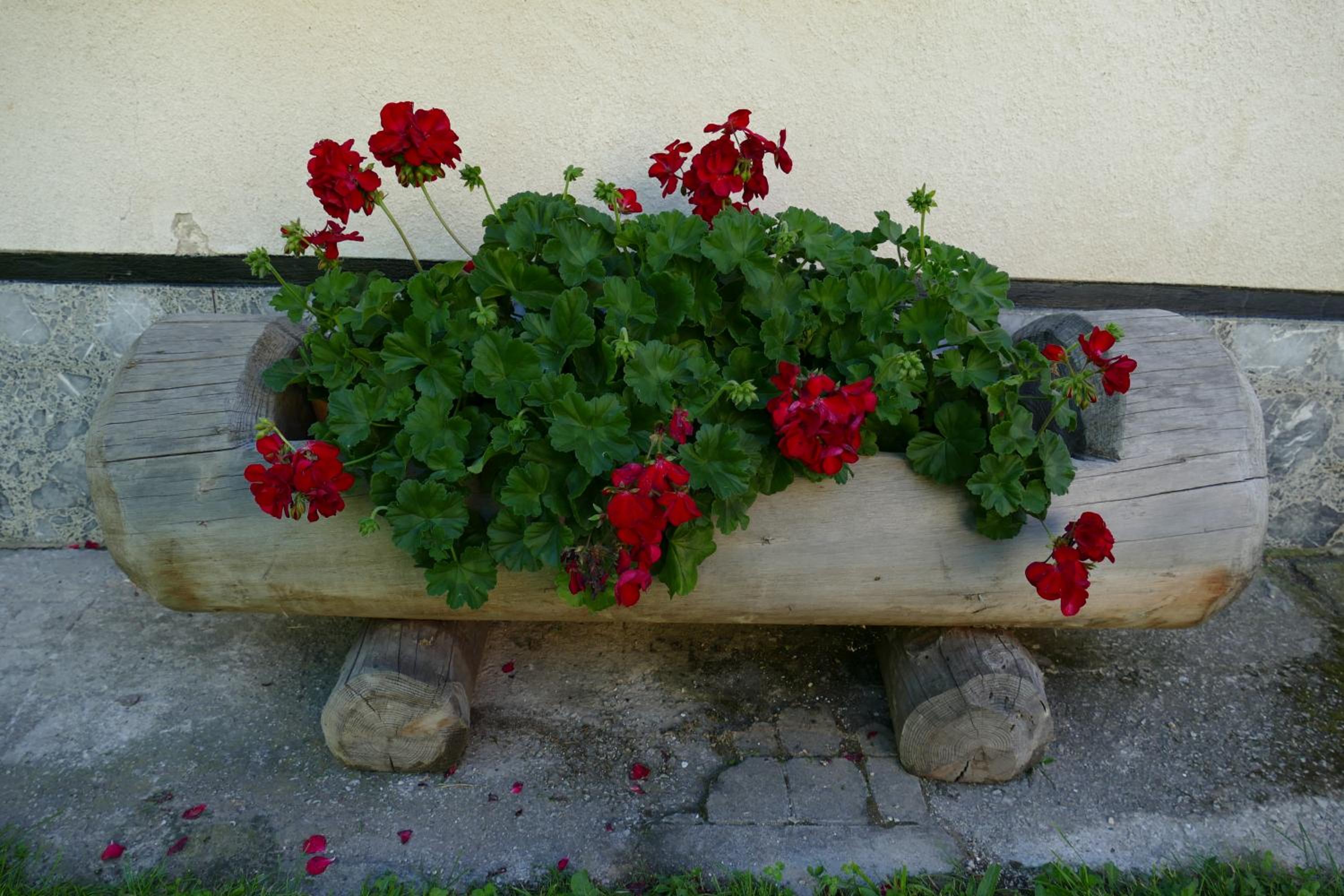 Photo 37