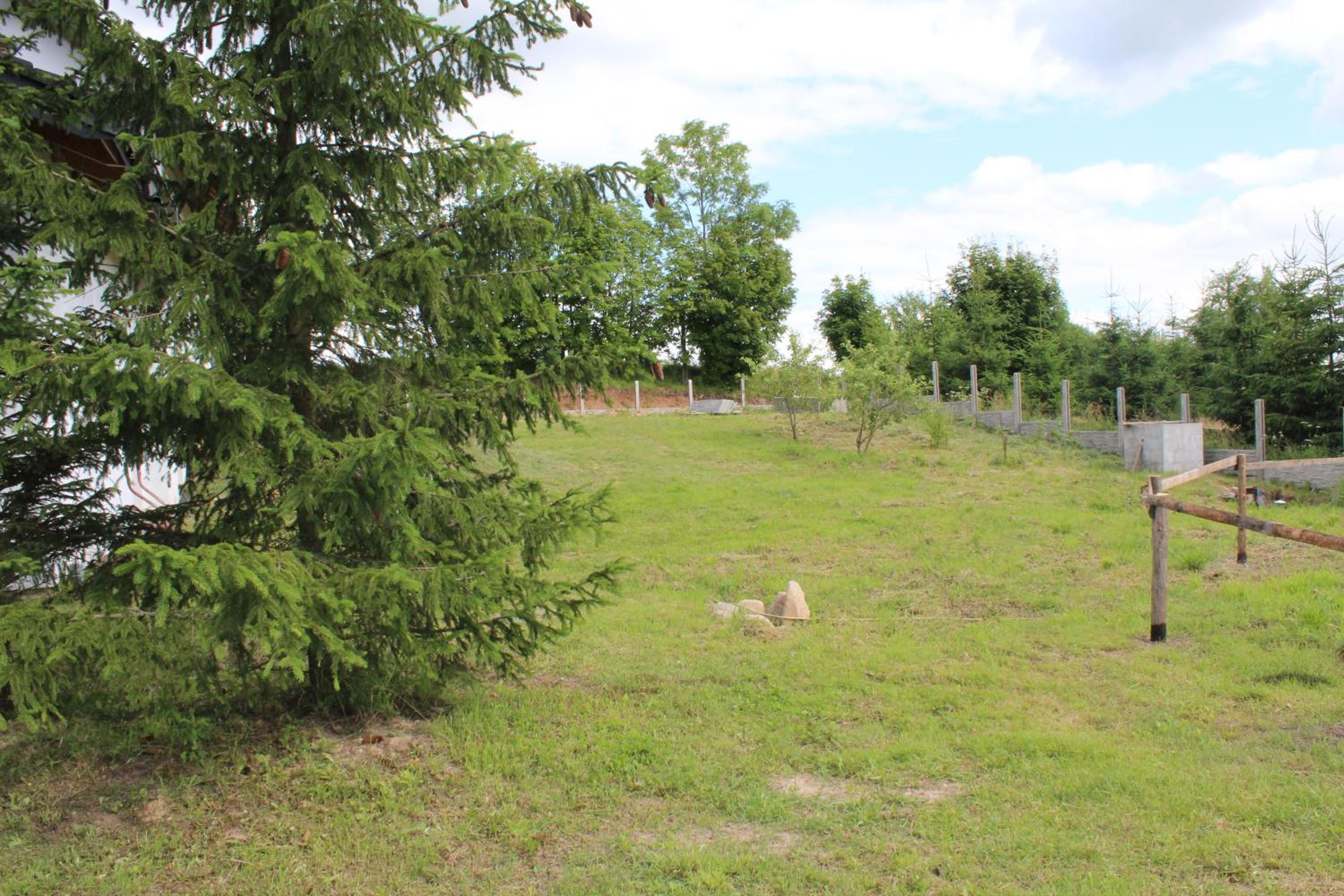 Photo 45