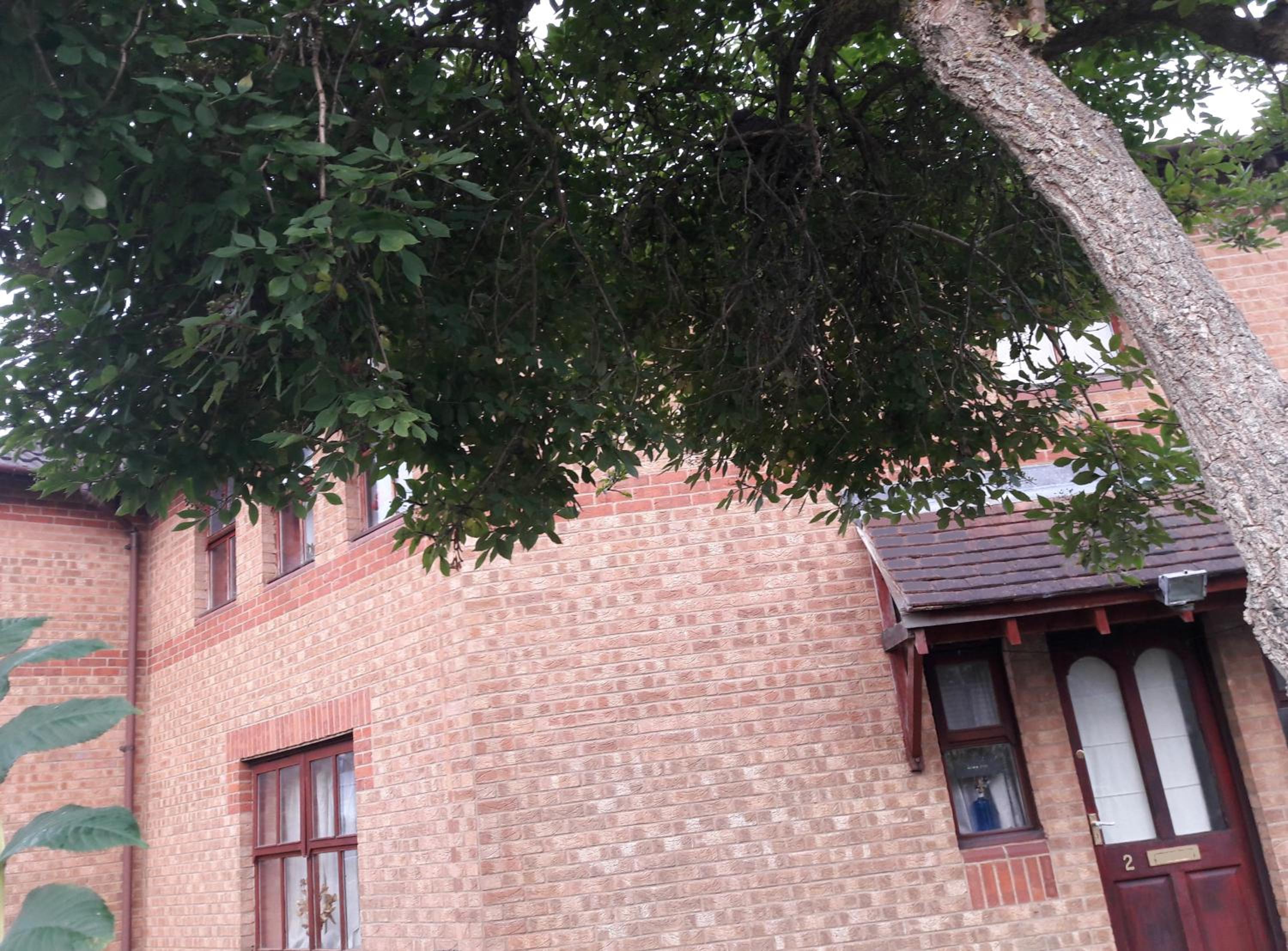 Photo 14