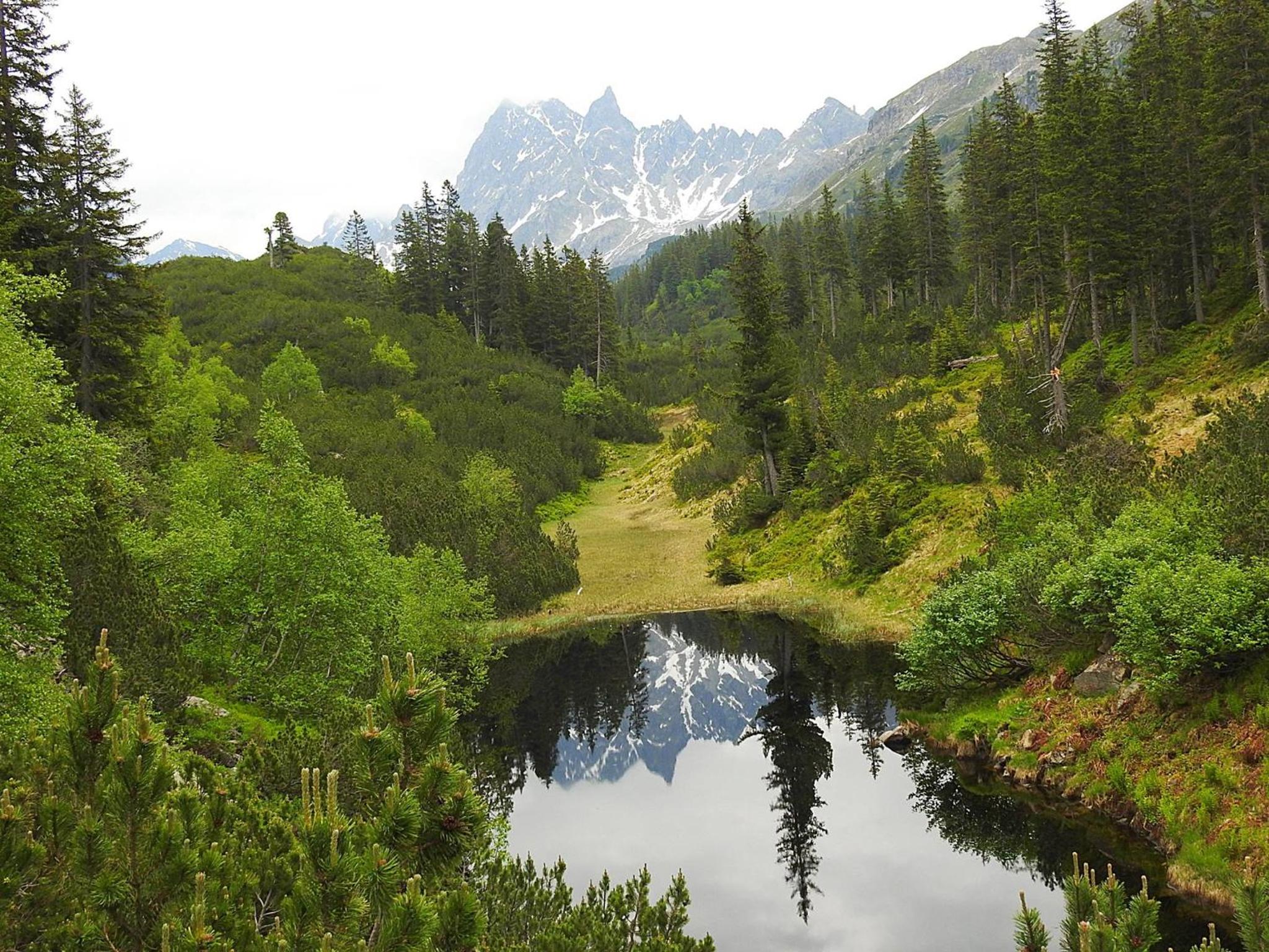 Photo 20
