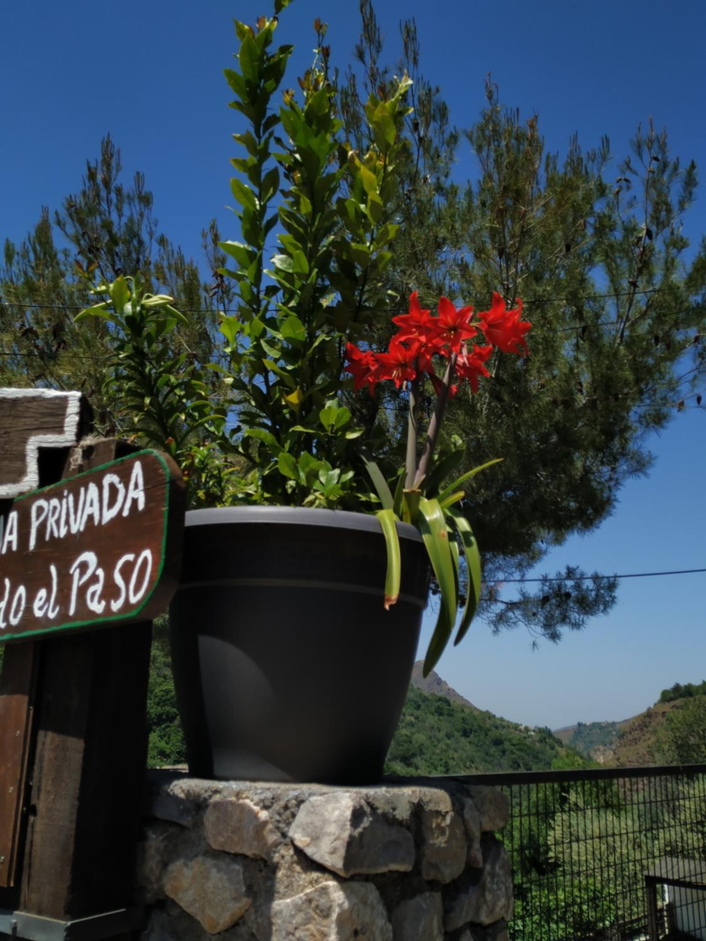 Cortijo La Solana