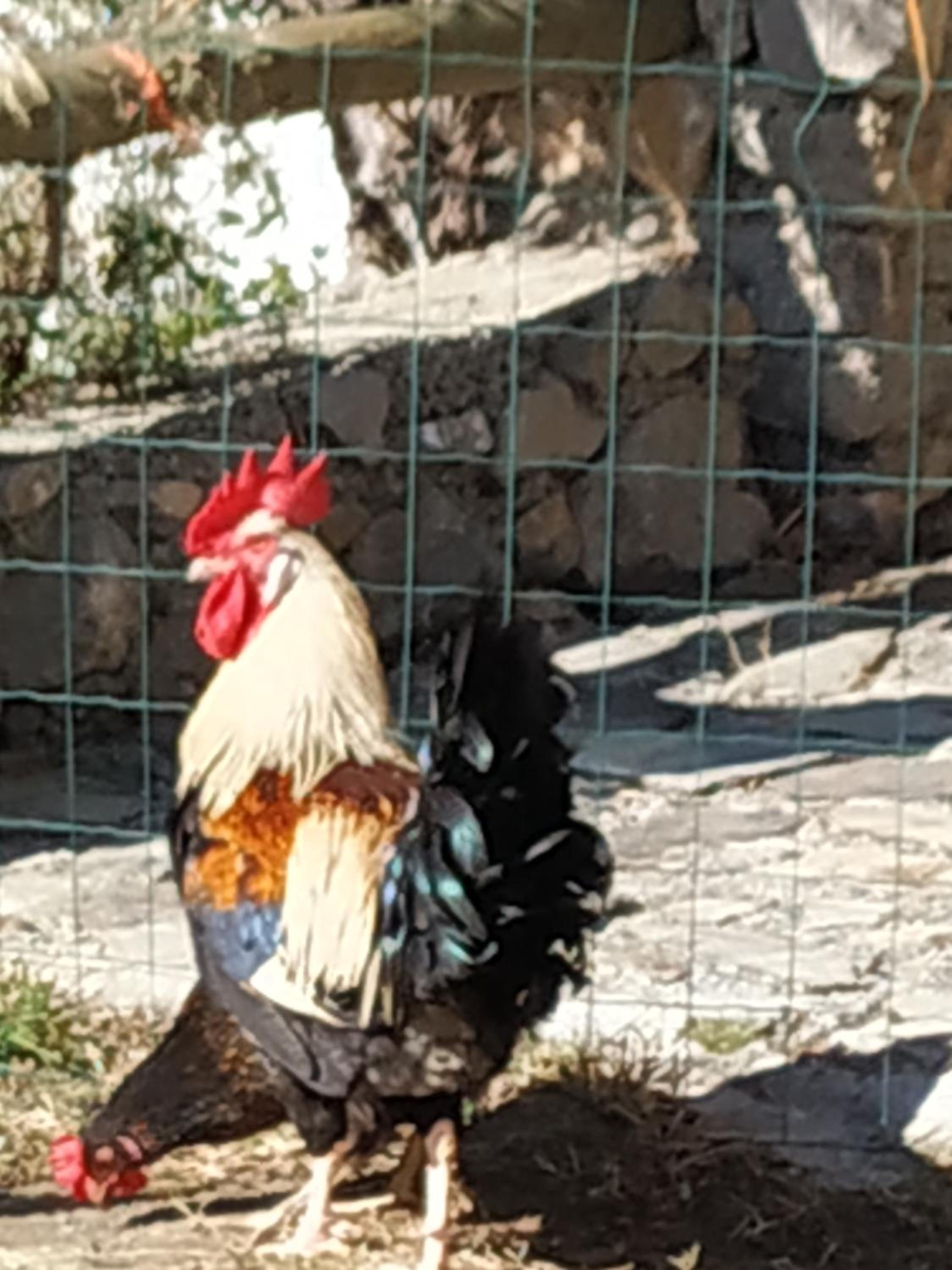 Cortijo La Solana