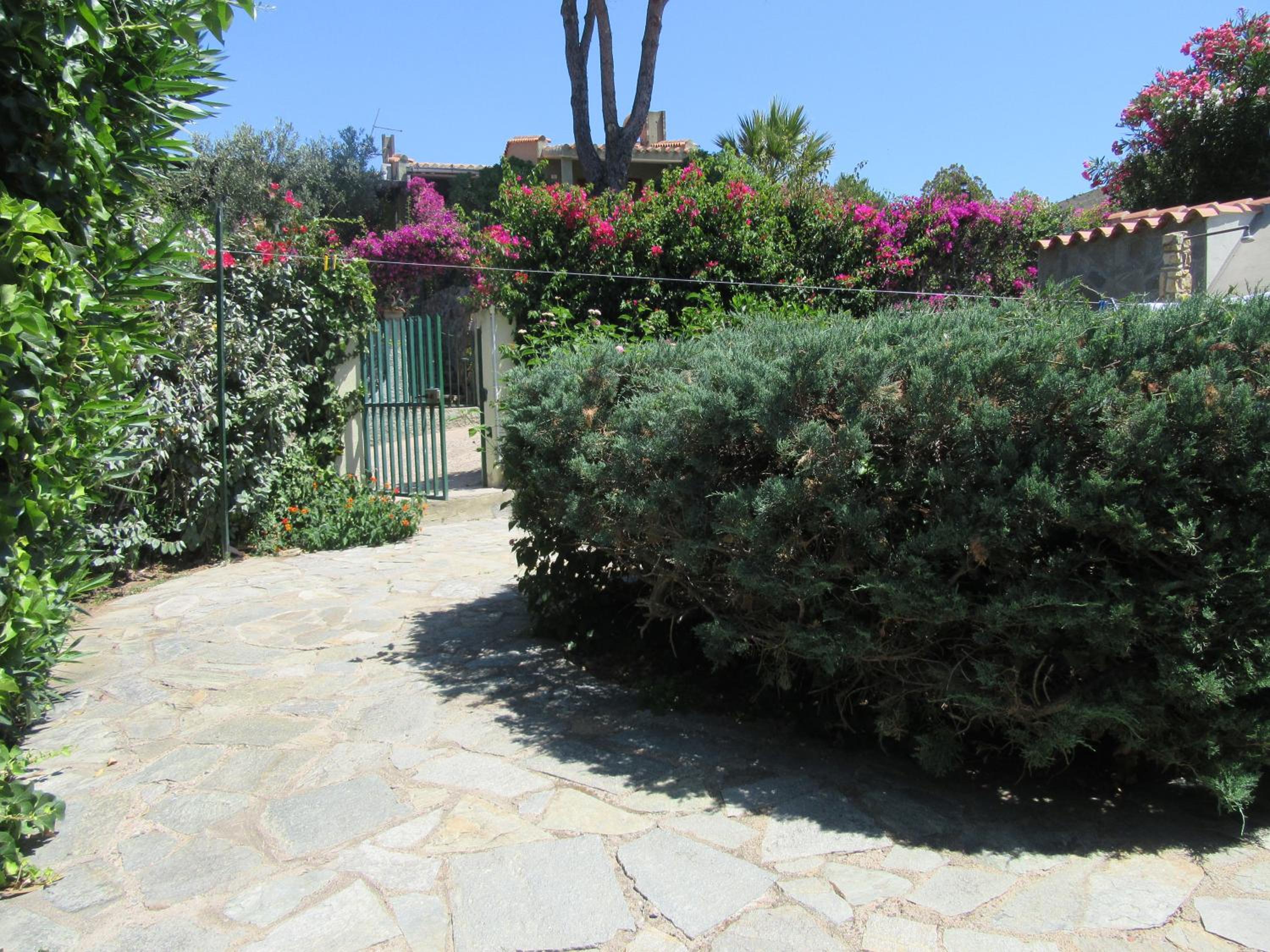 Photo 25