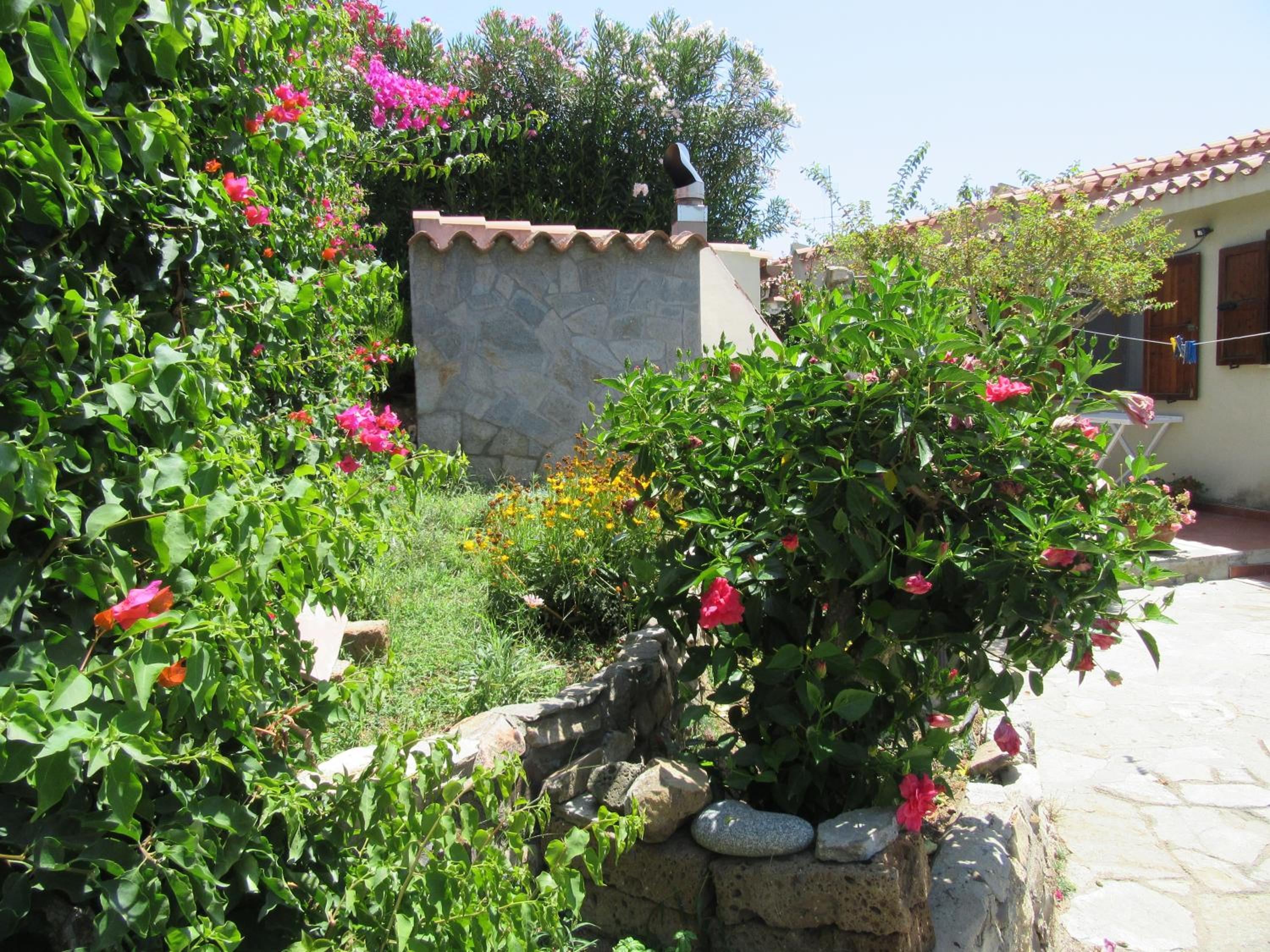 Photo 28