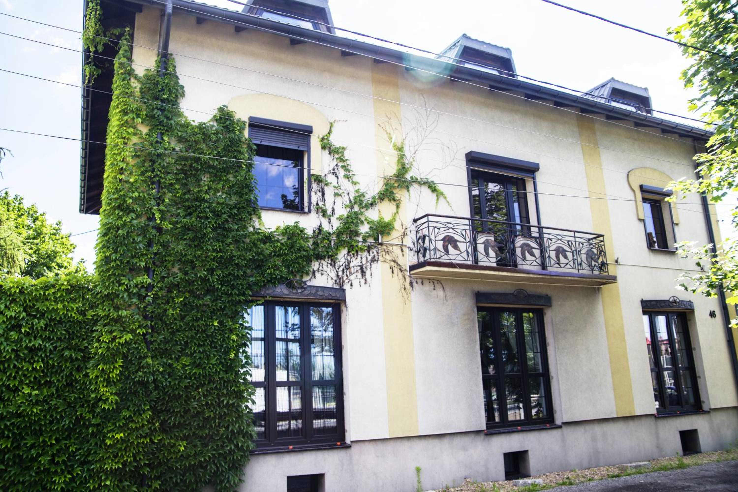 Photo 42