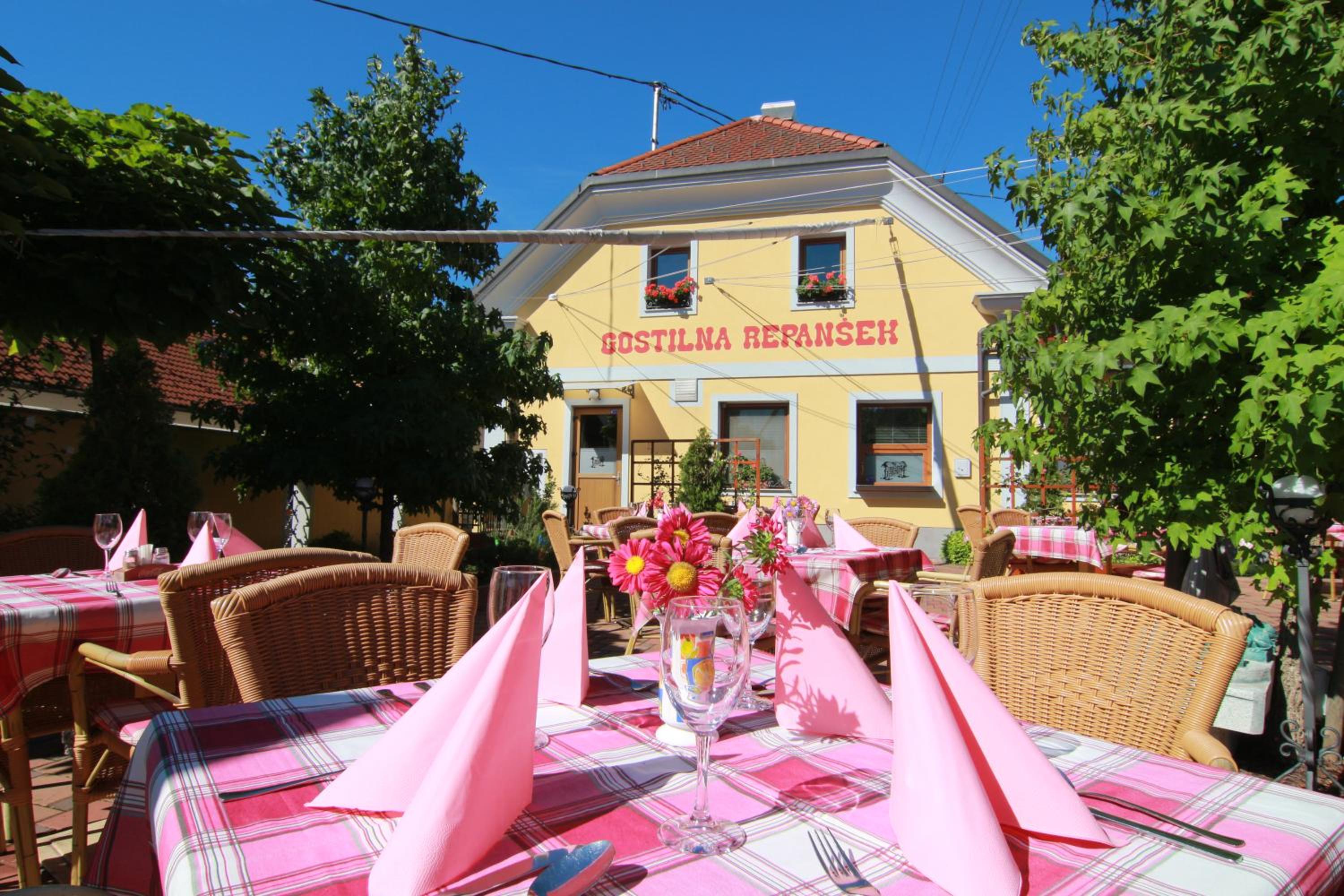 Penzion Repanšek view 2