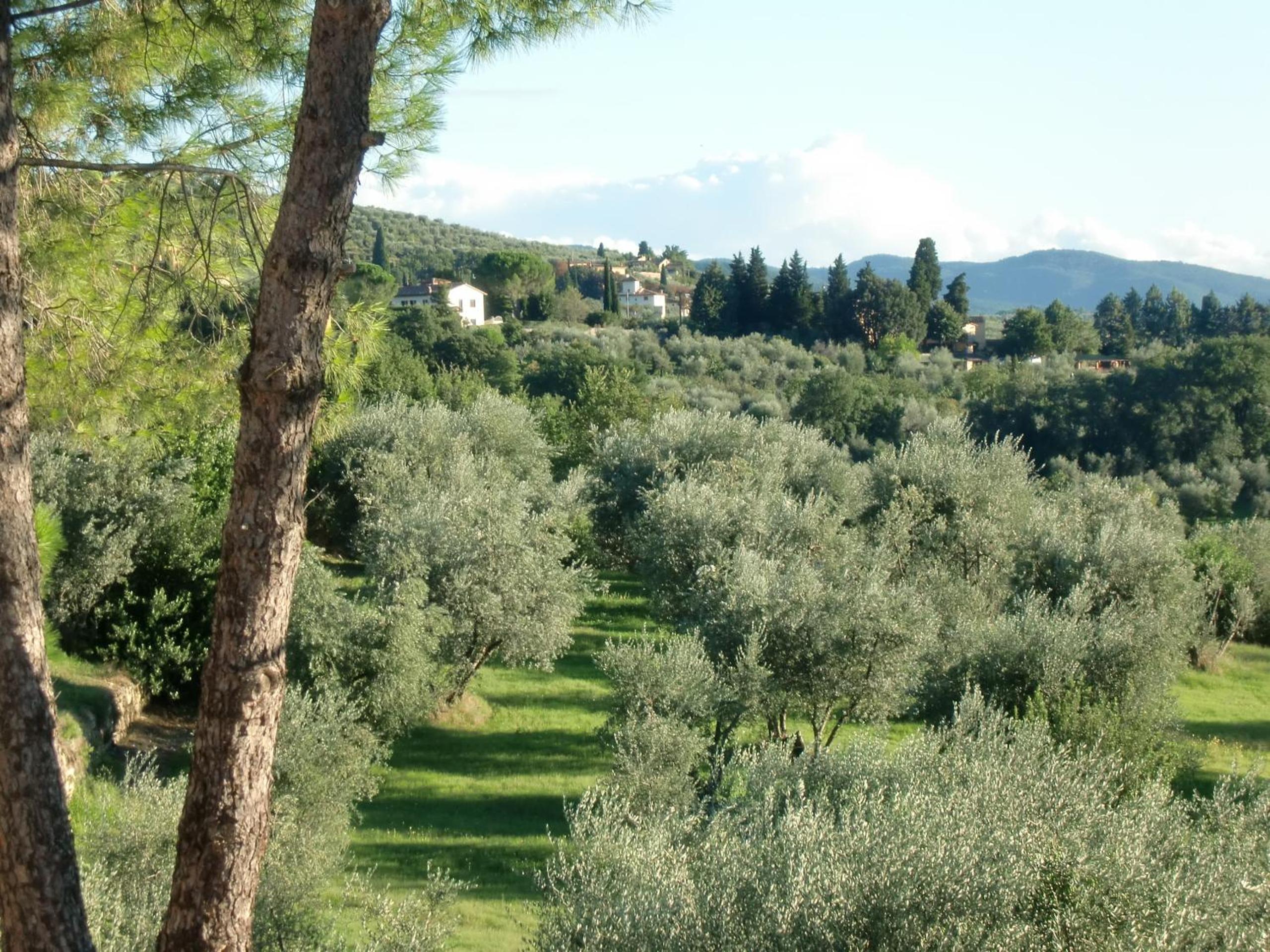 Il Palagetto
