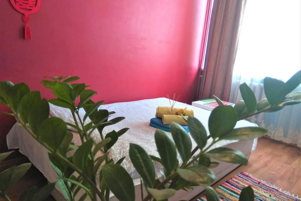 Slucko Central Studio Apartment near River view 4