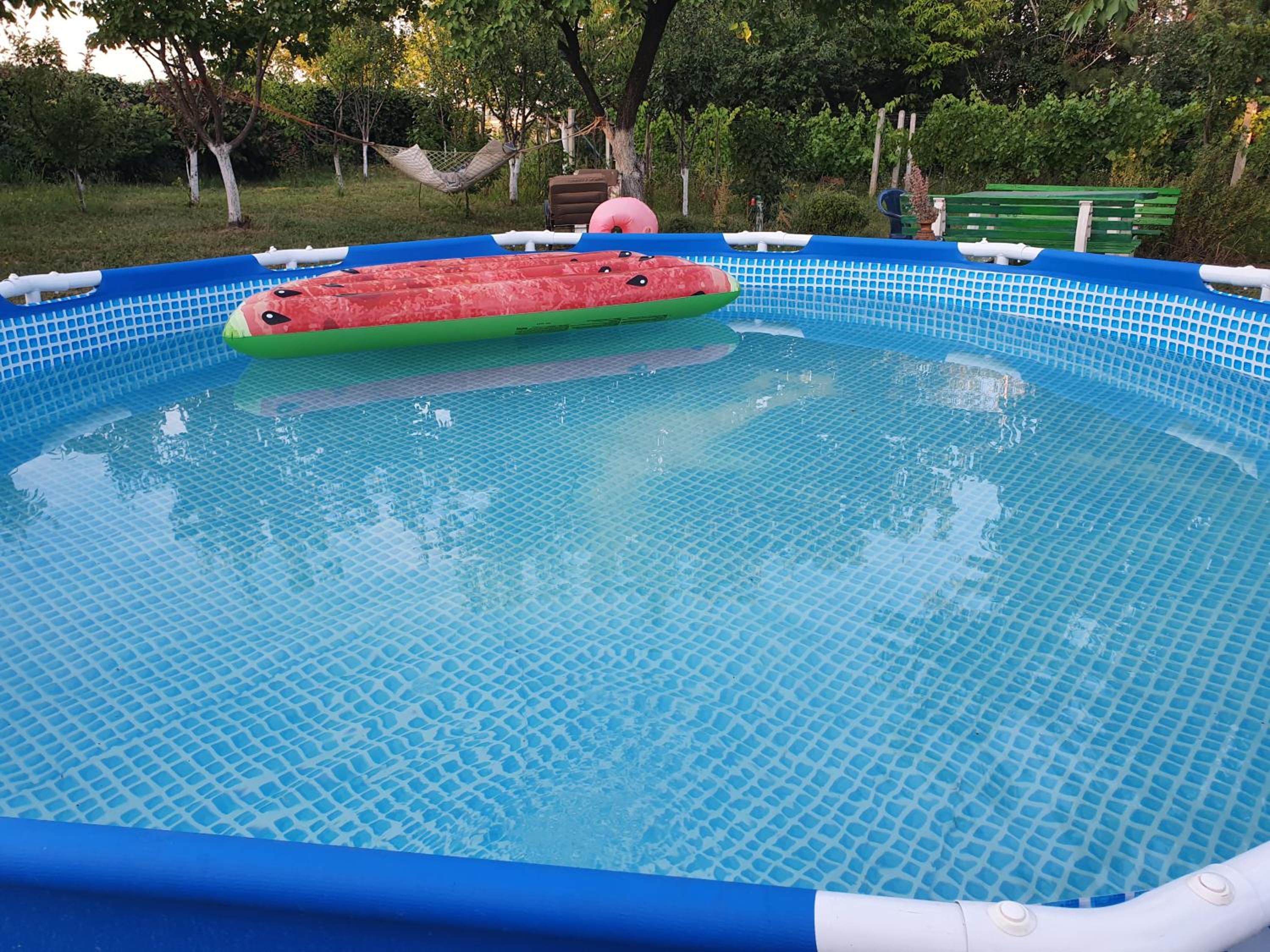 Photo 51
