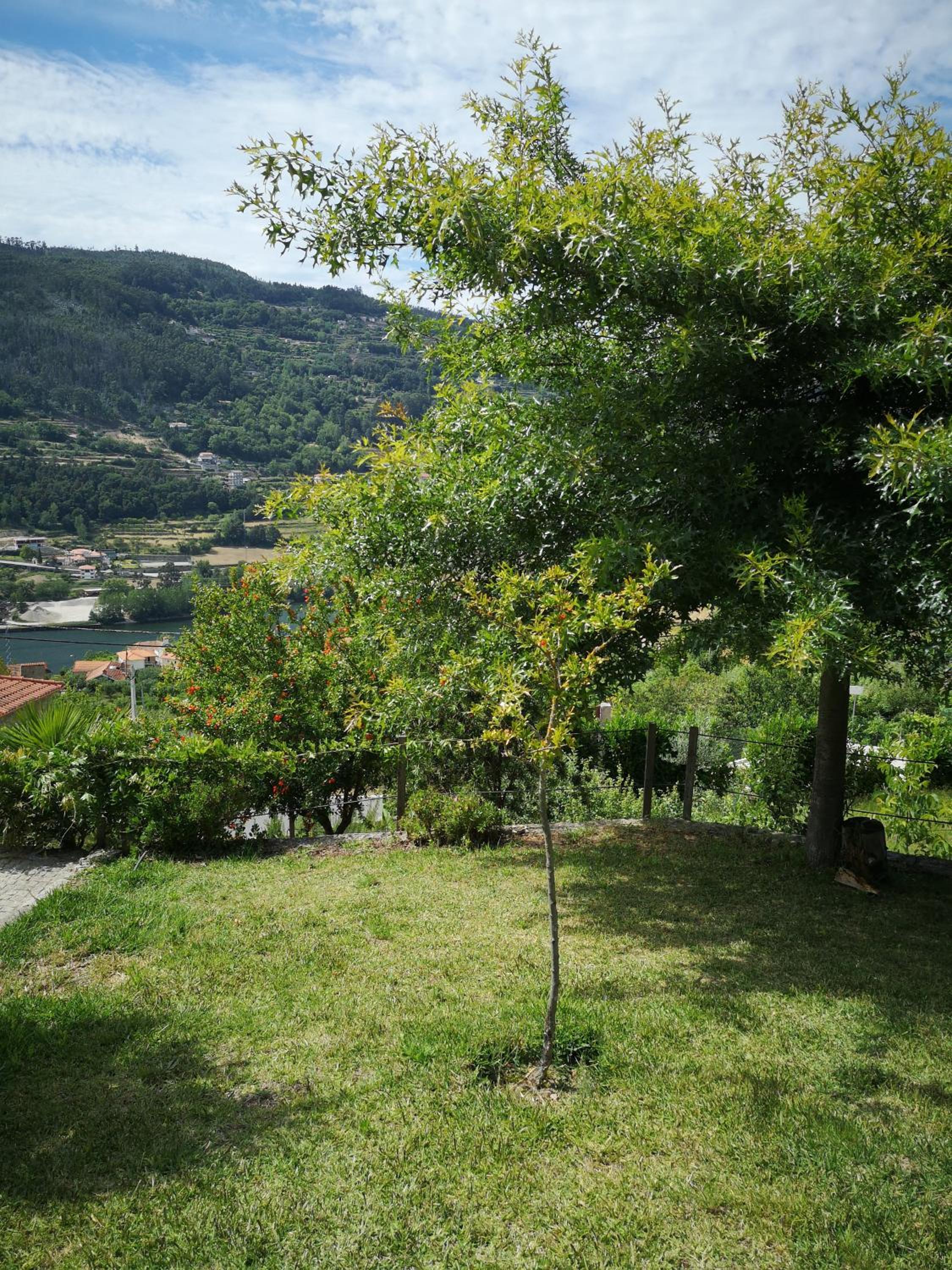 Photo 29