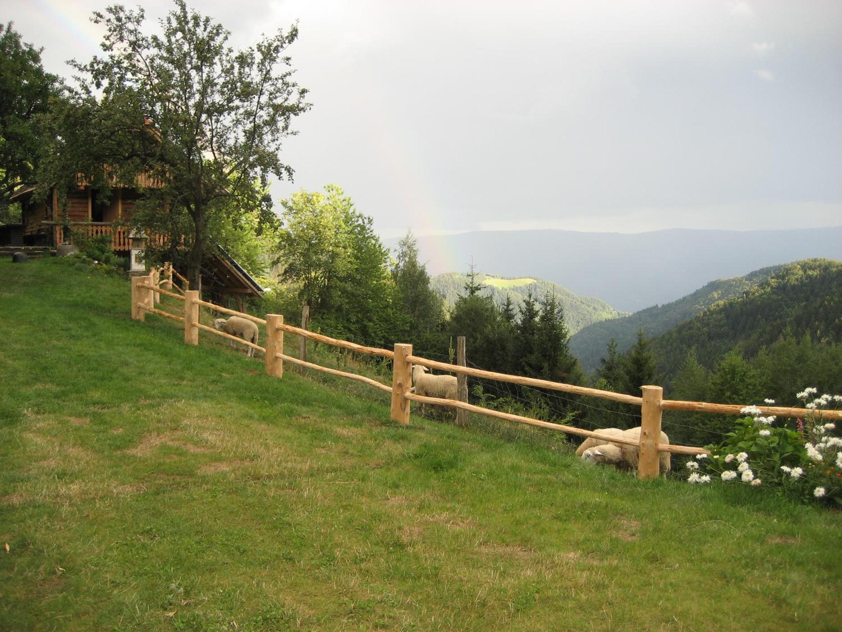 Chalets Toplak view 5